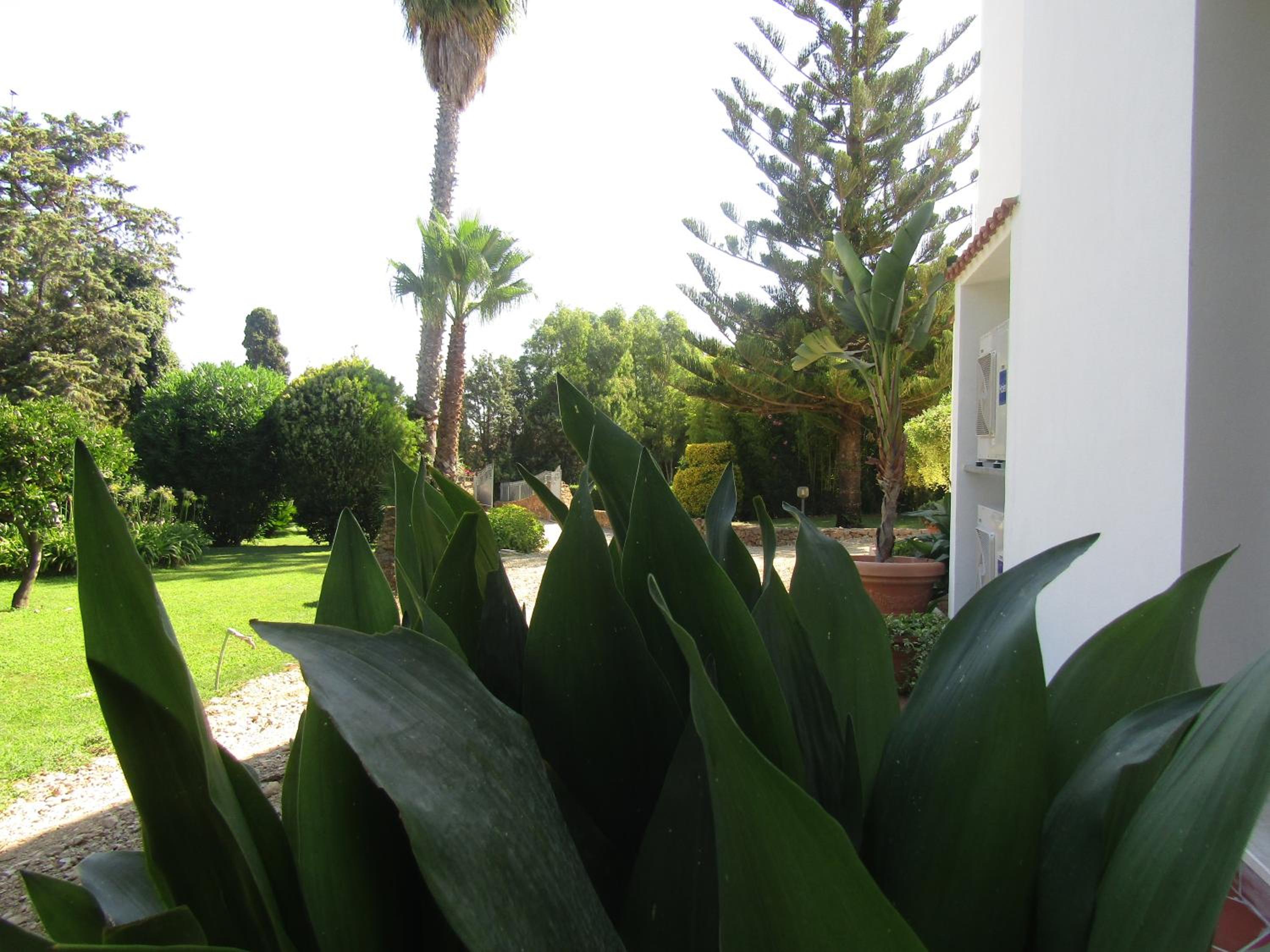 Triple Room with Garden View - Photo 11