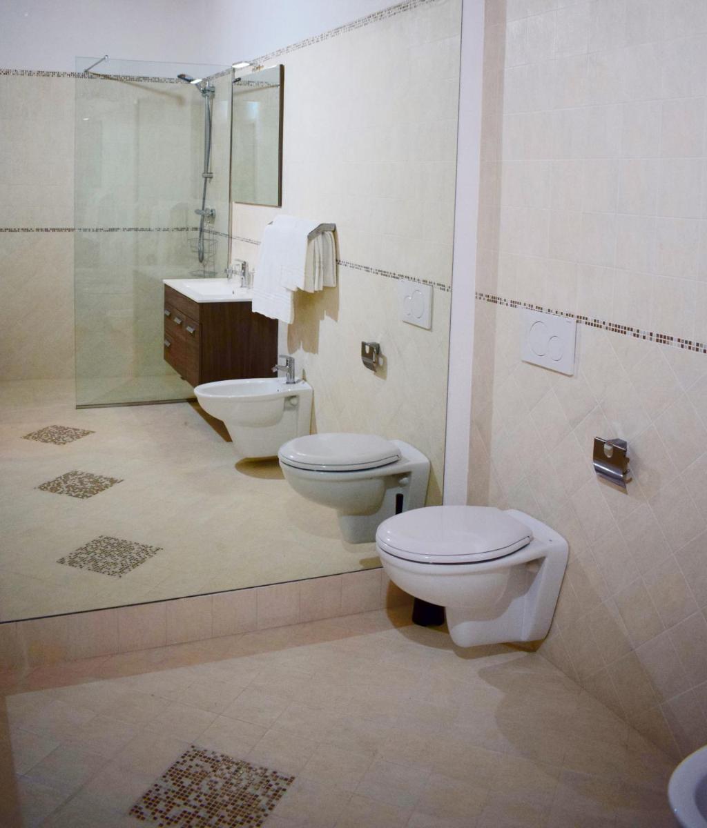 Superior Deluxe Double or Twin Room  photo 2