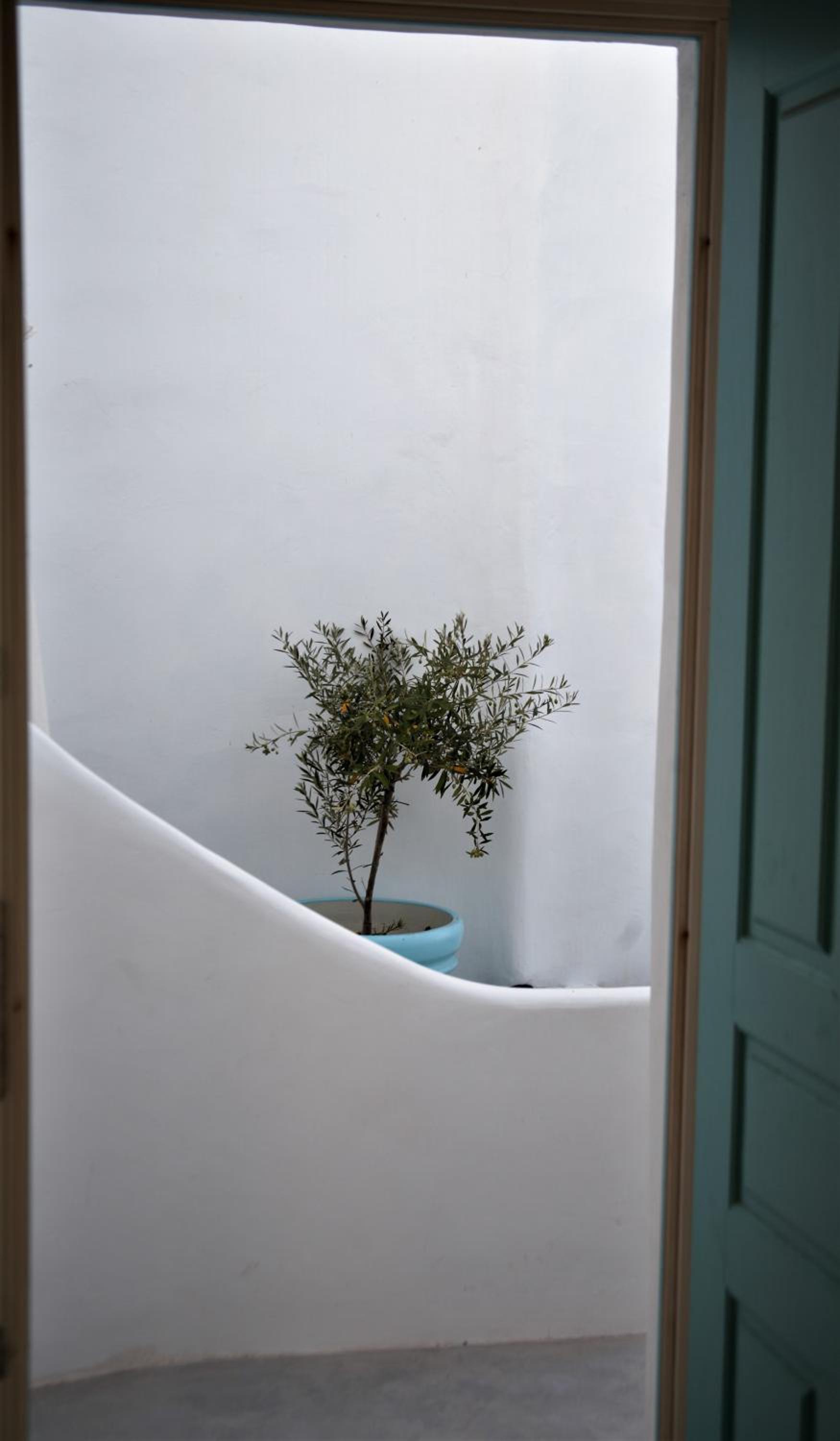 Apartment with Garden View - Photo 11