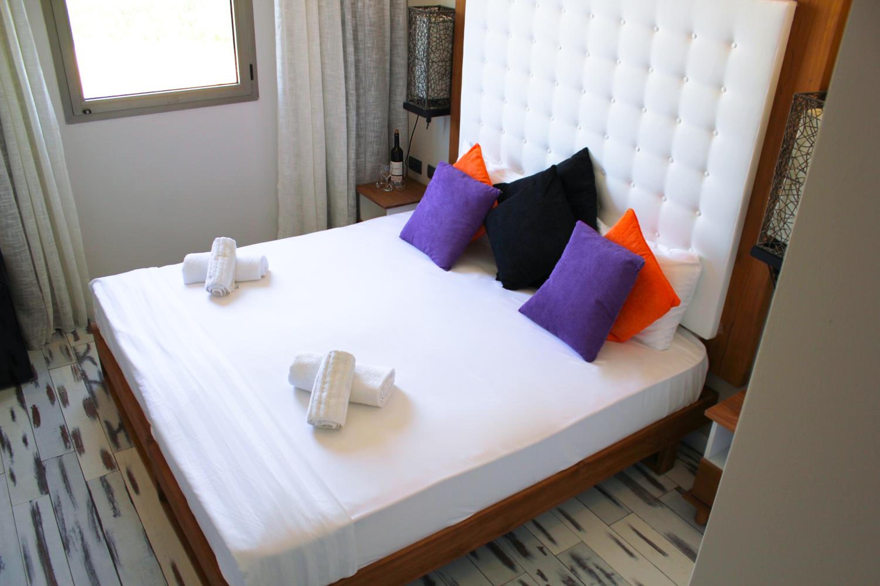 Suite - Photo 12