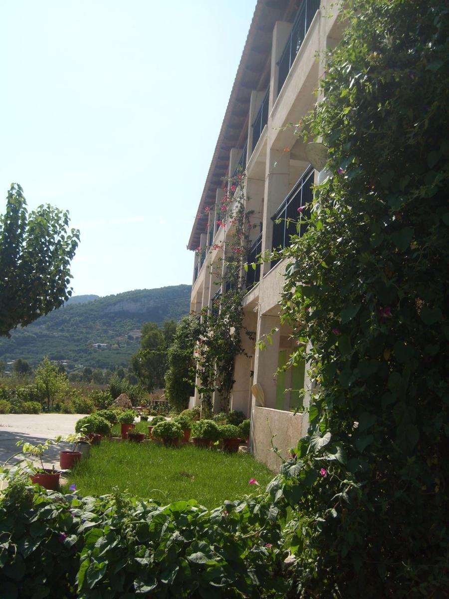 Studio with Garden View photo 2
