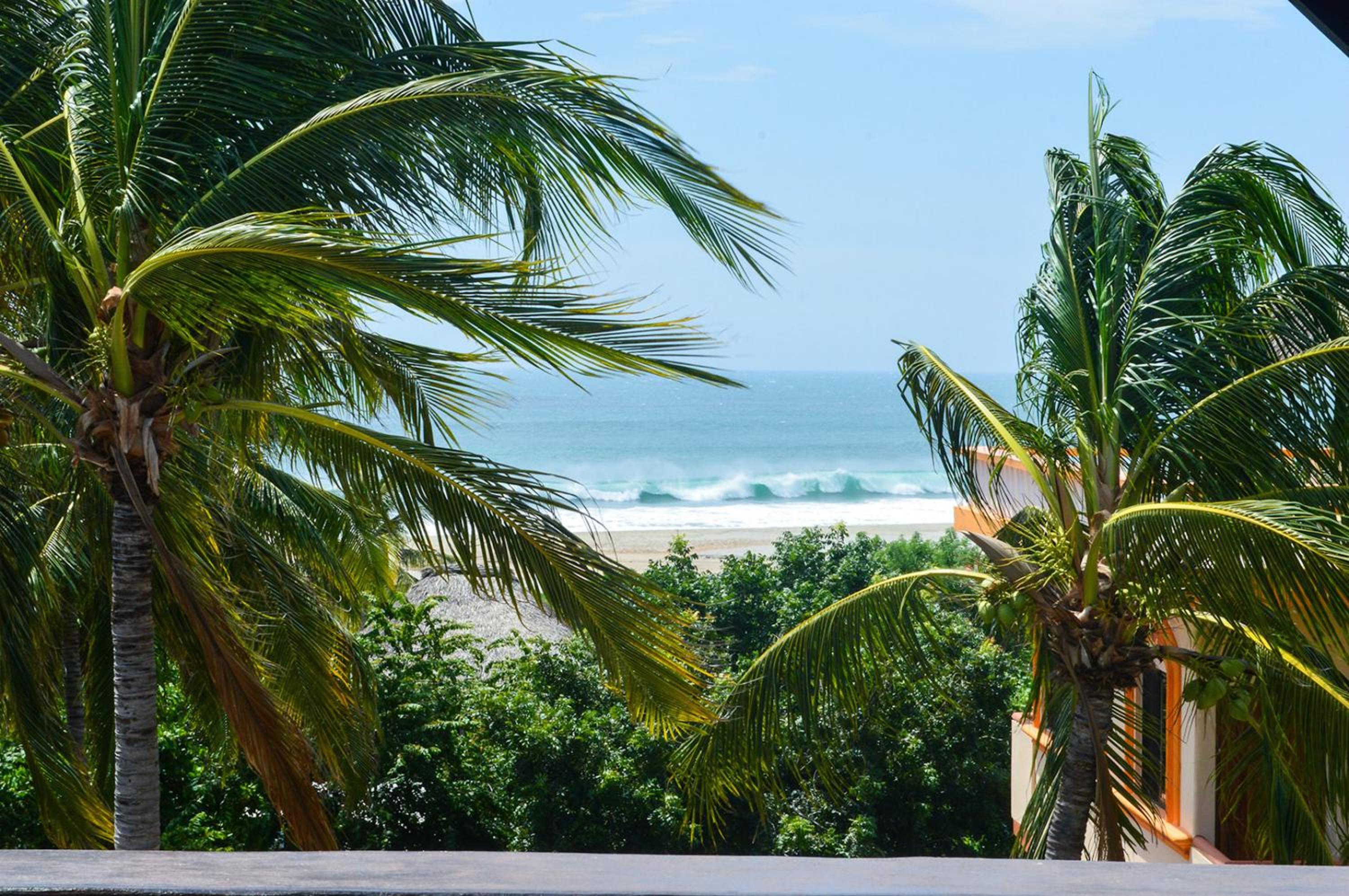 Apartment with Sea View / Plumeria photo 2
