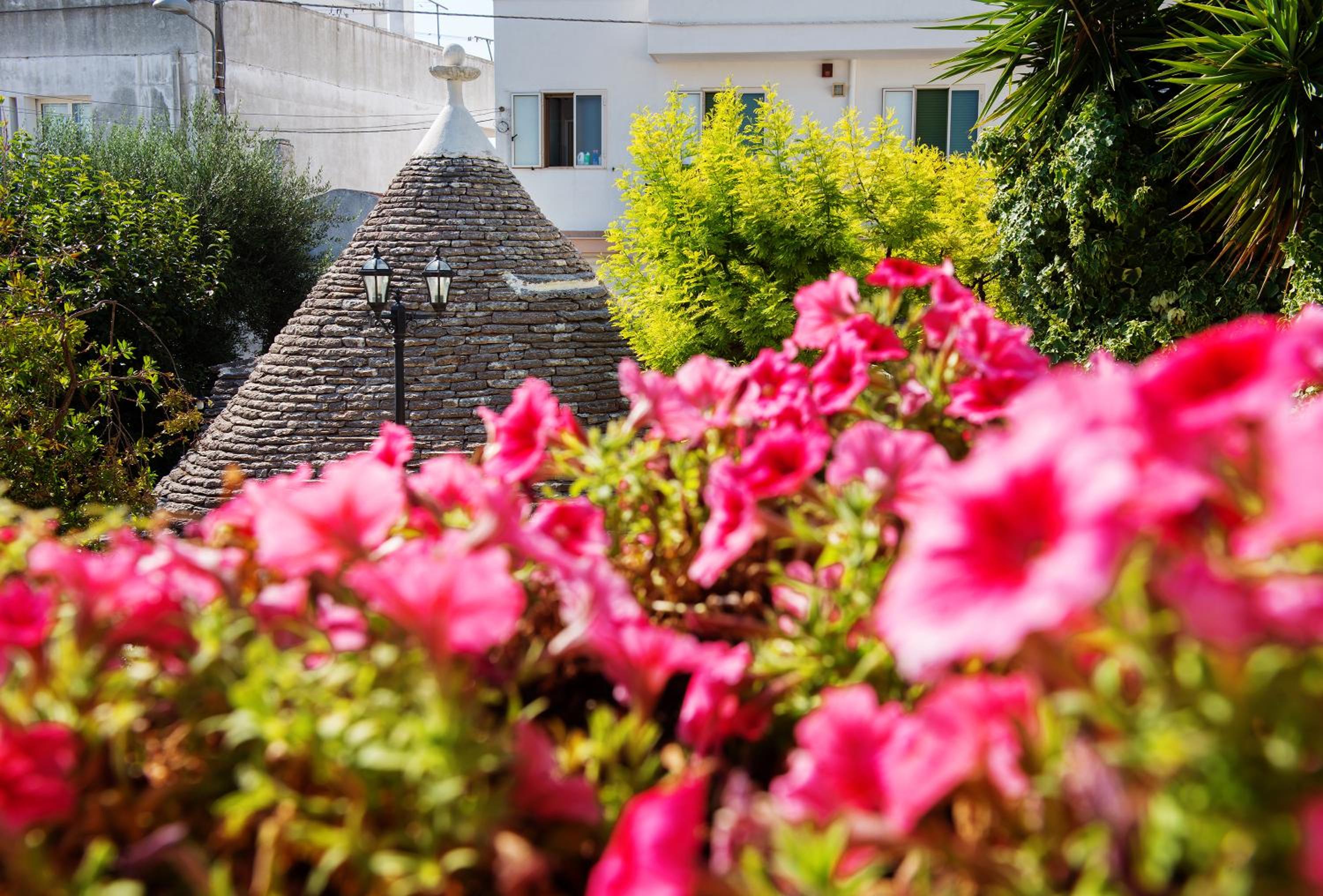 Double Room with Garden View photo 3