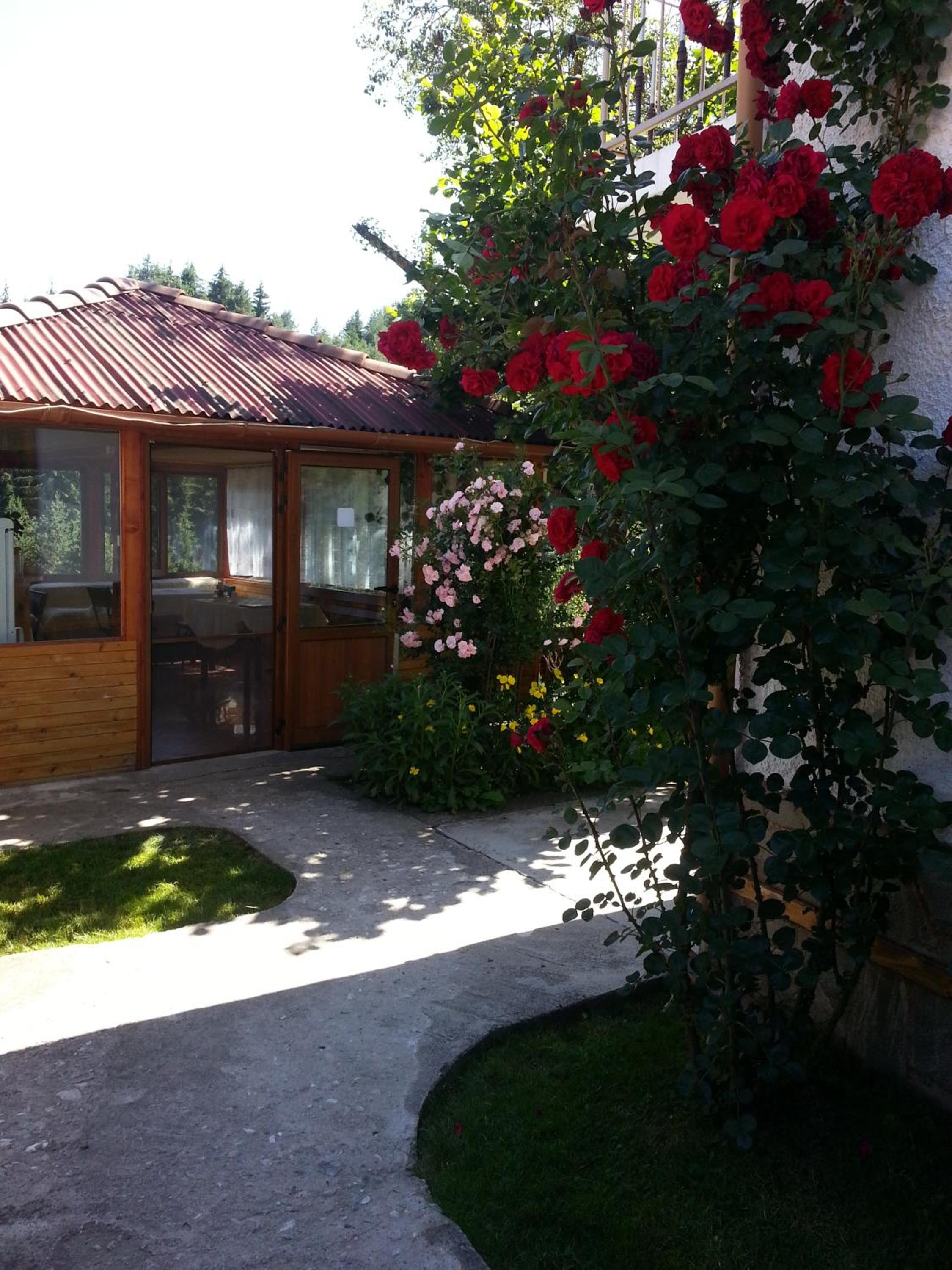 Double Room with Mountain View photo 3