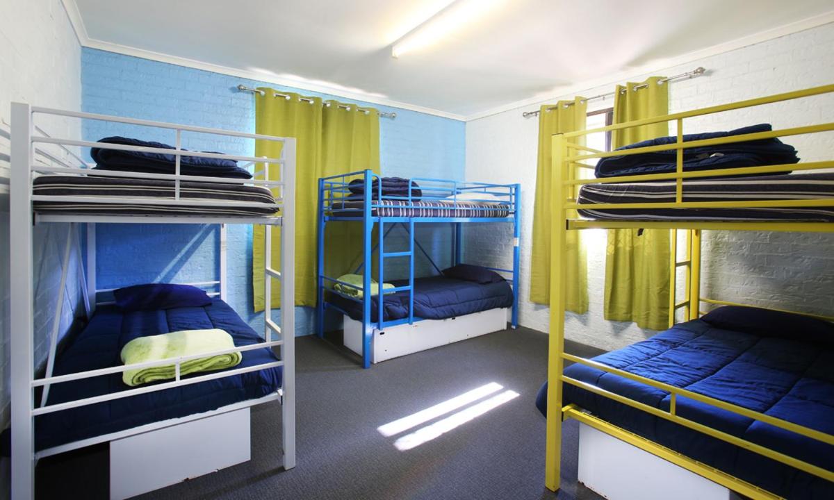 Bed in 6-Bed Dormitory Room photo 1