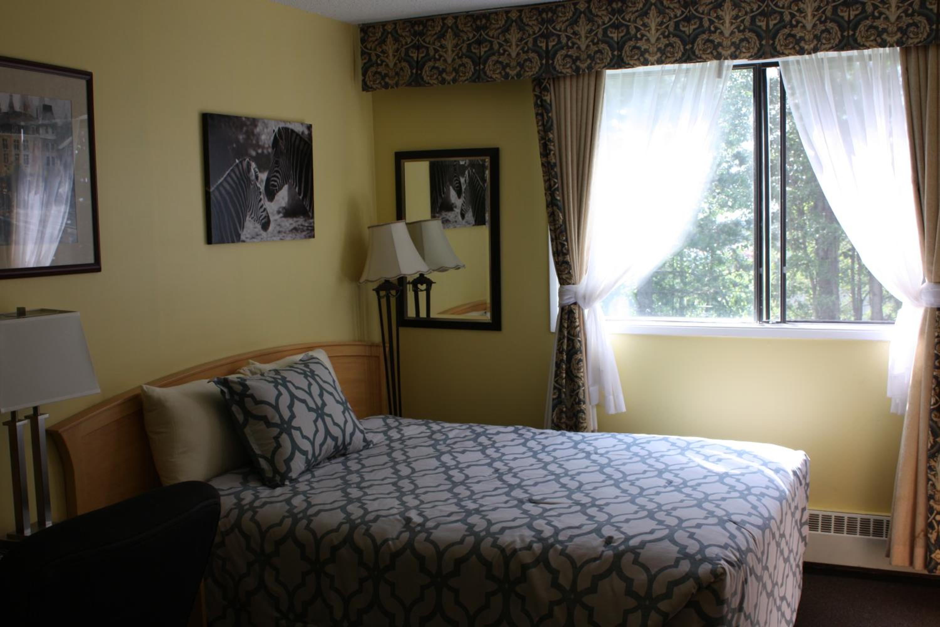 Superior Queen Room photo 1