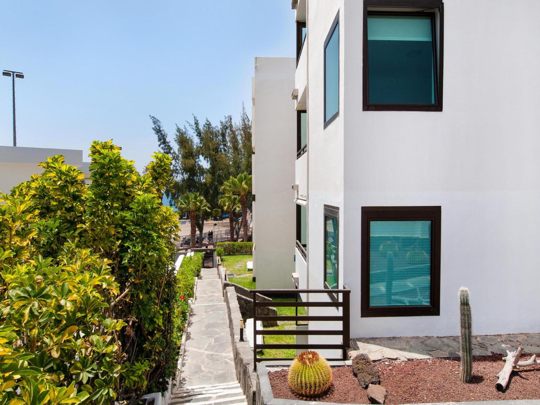Apartment with Terrace photo 3