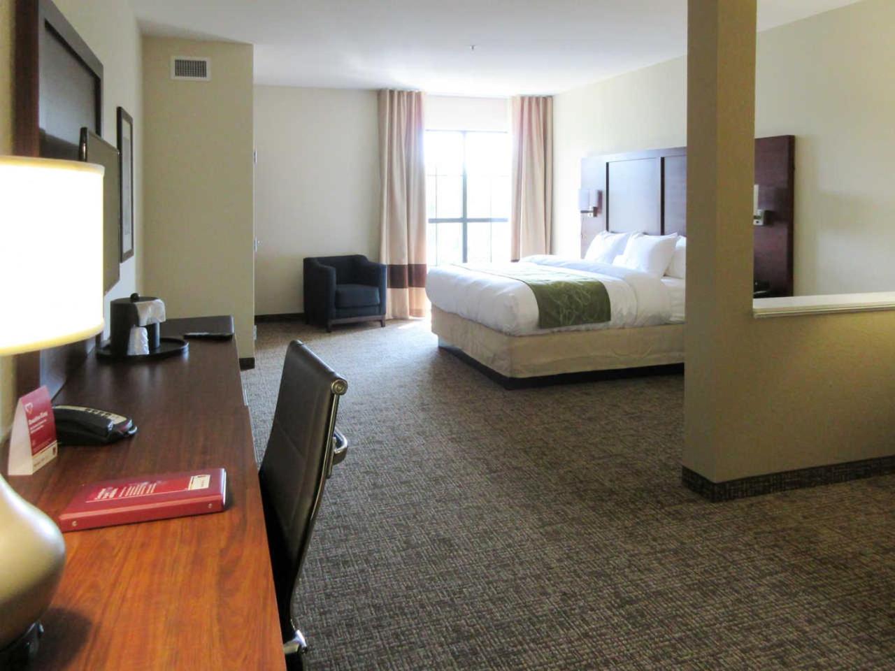 Large King Suite with Sofa Bed photo 1