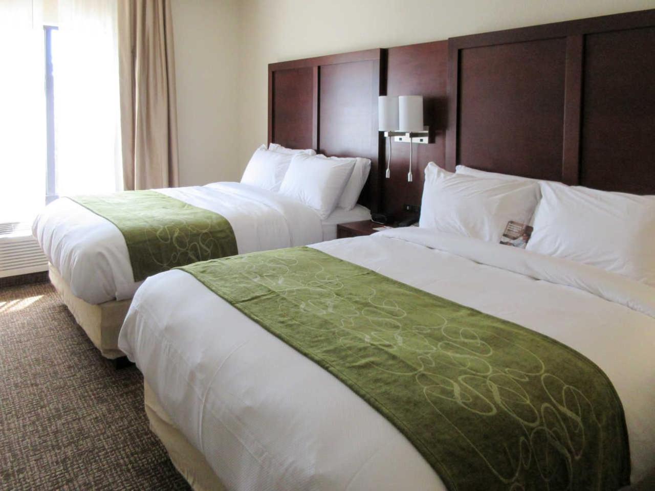 Suite with Two Queen Beds - Accessible/Non-Smoking photo 1