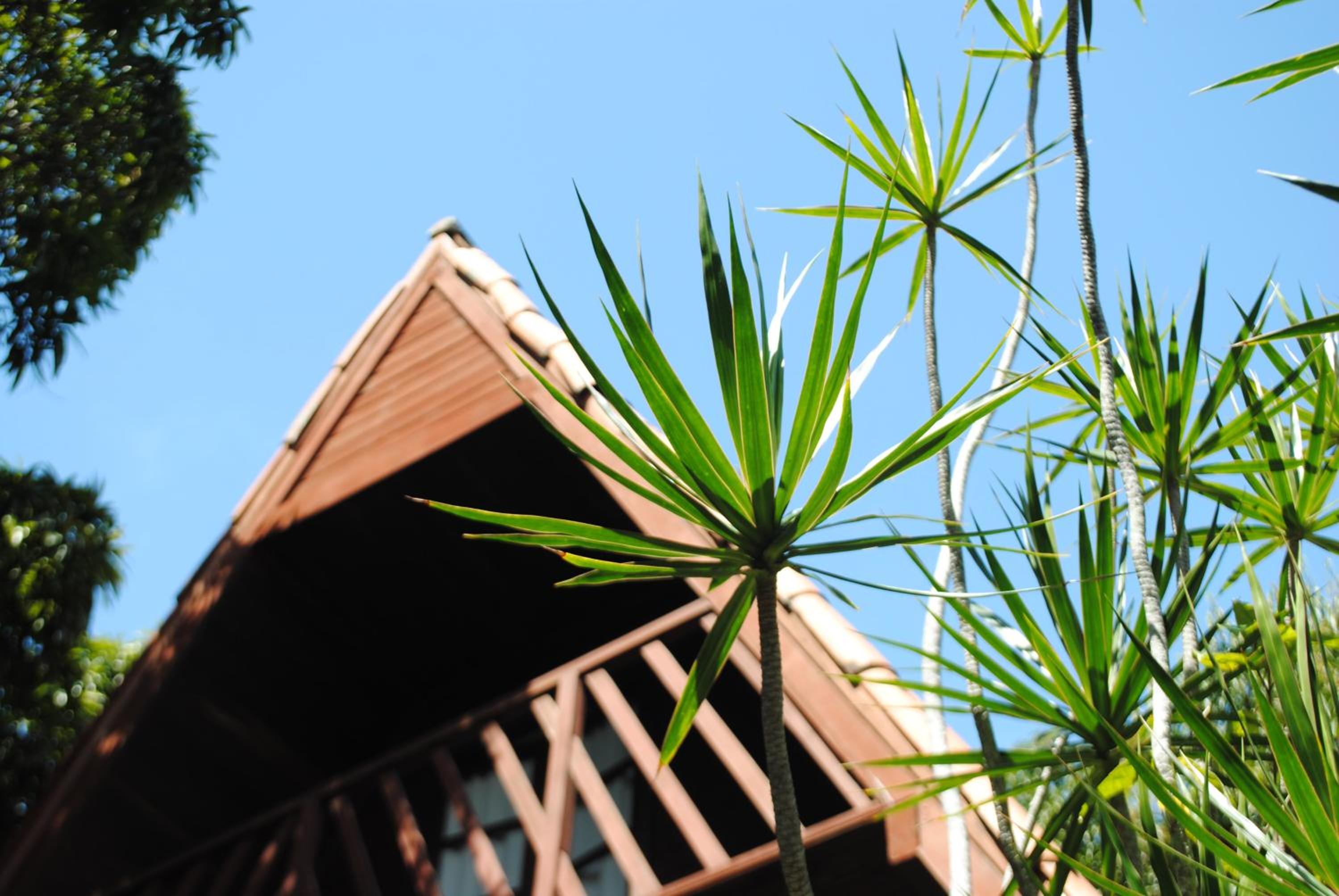 Chalet Bem-te-vi - Photo 10