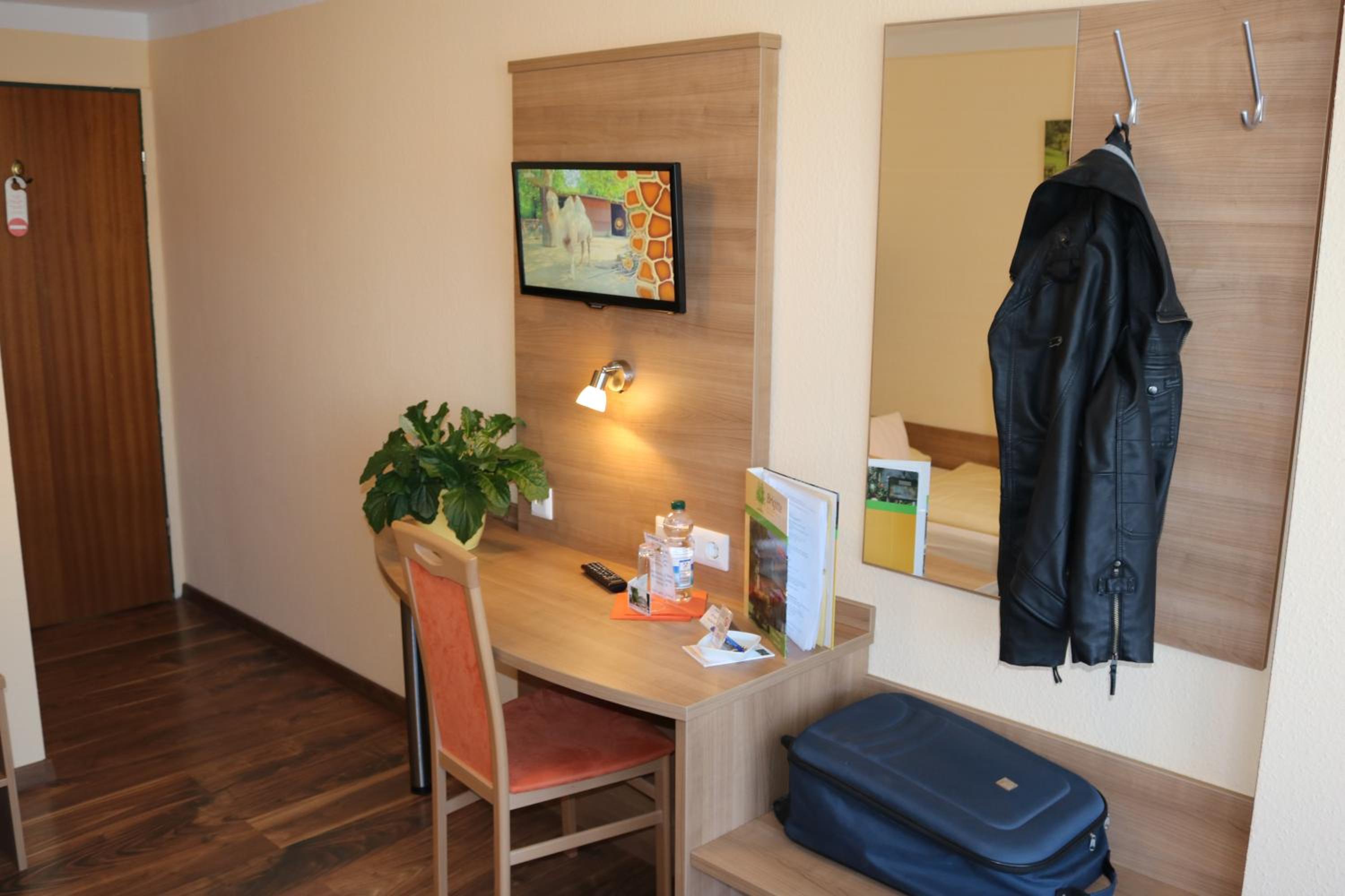 Single Room photo 1