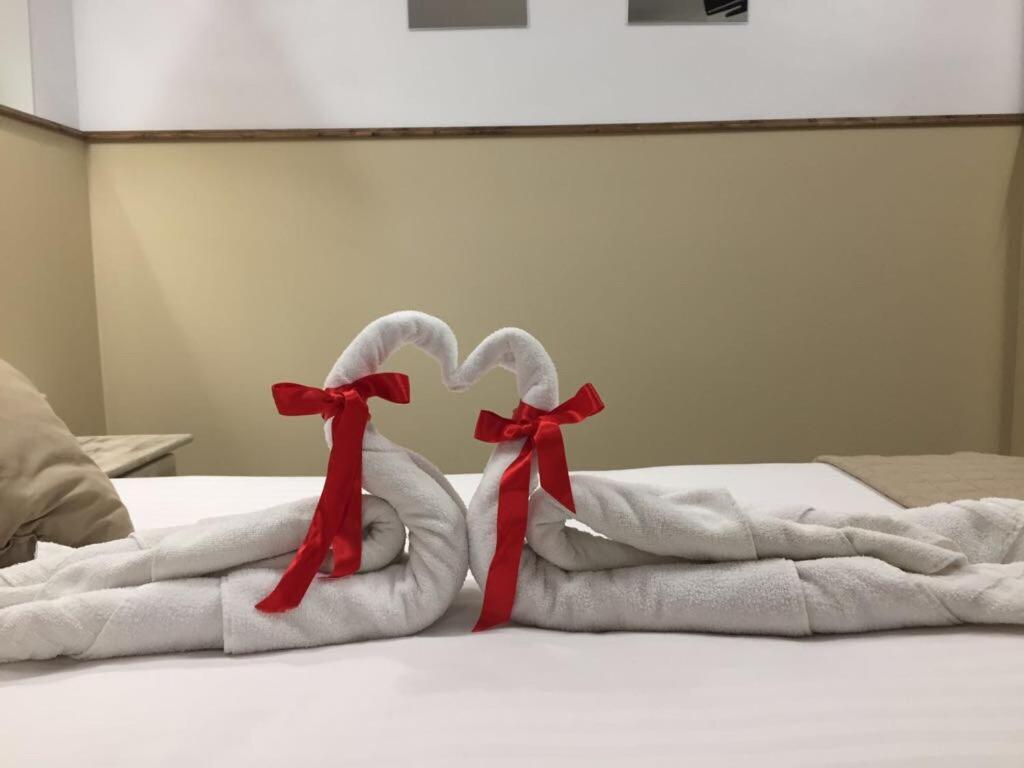 Double or Twin Room photo 2