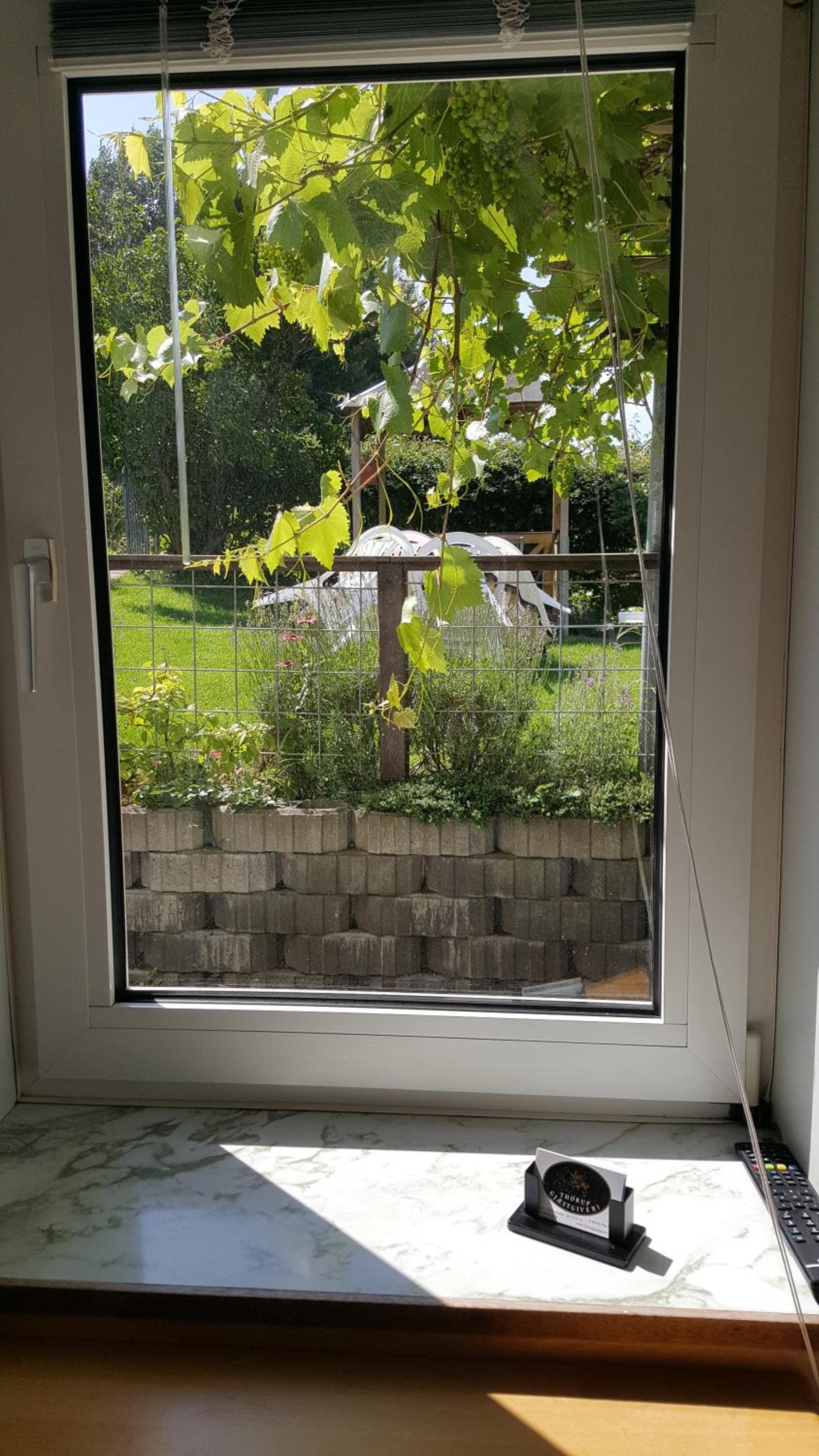 Single Room with Shared Bathroom photo 2