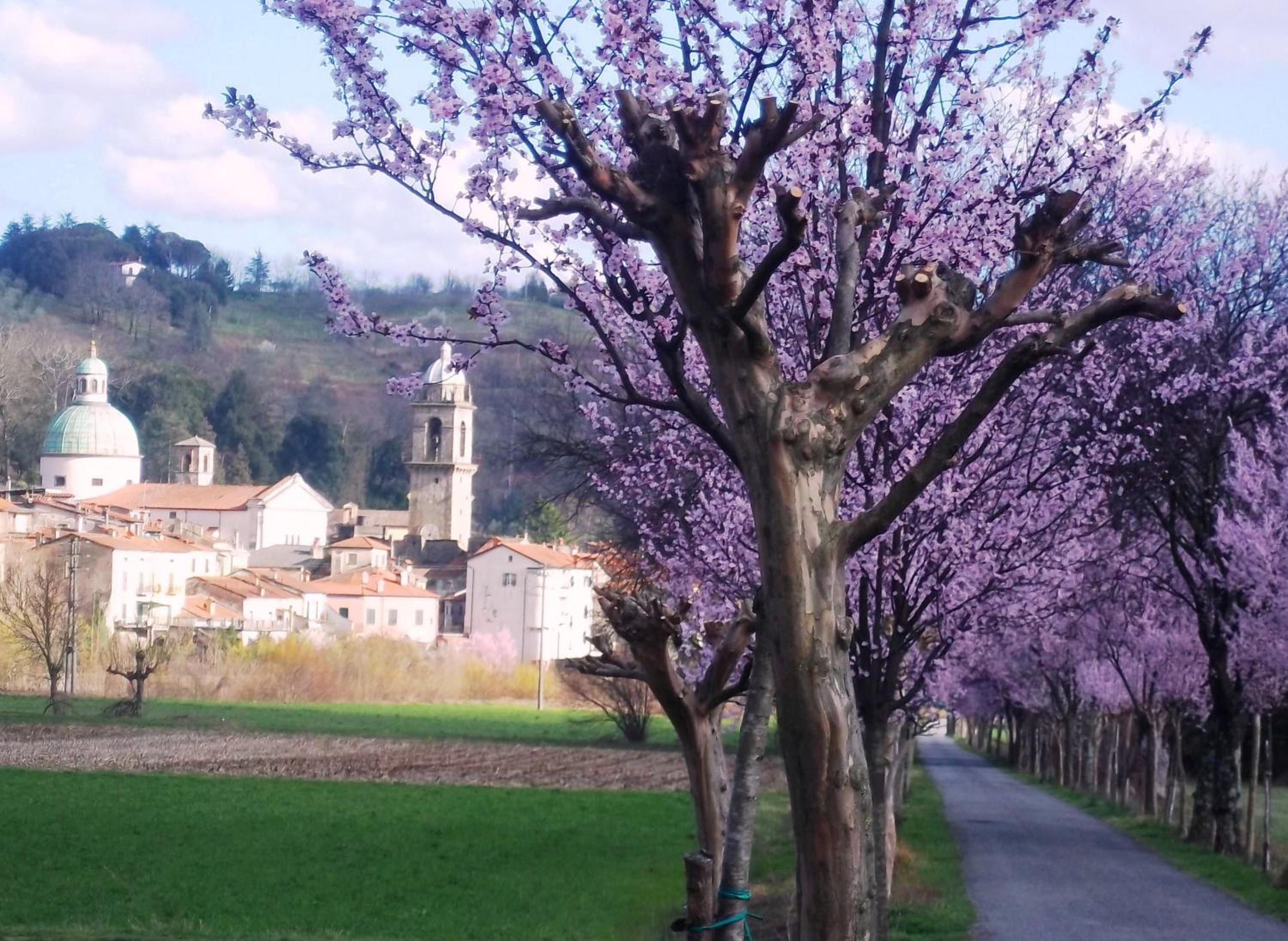 Double or Twin Room with Garden View photo 2