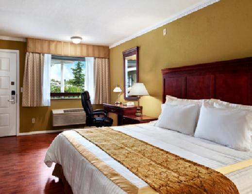 King Room - Non-Smoking - Photo 3