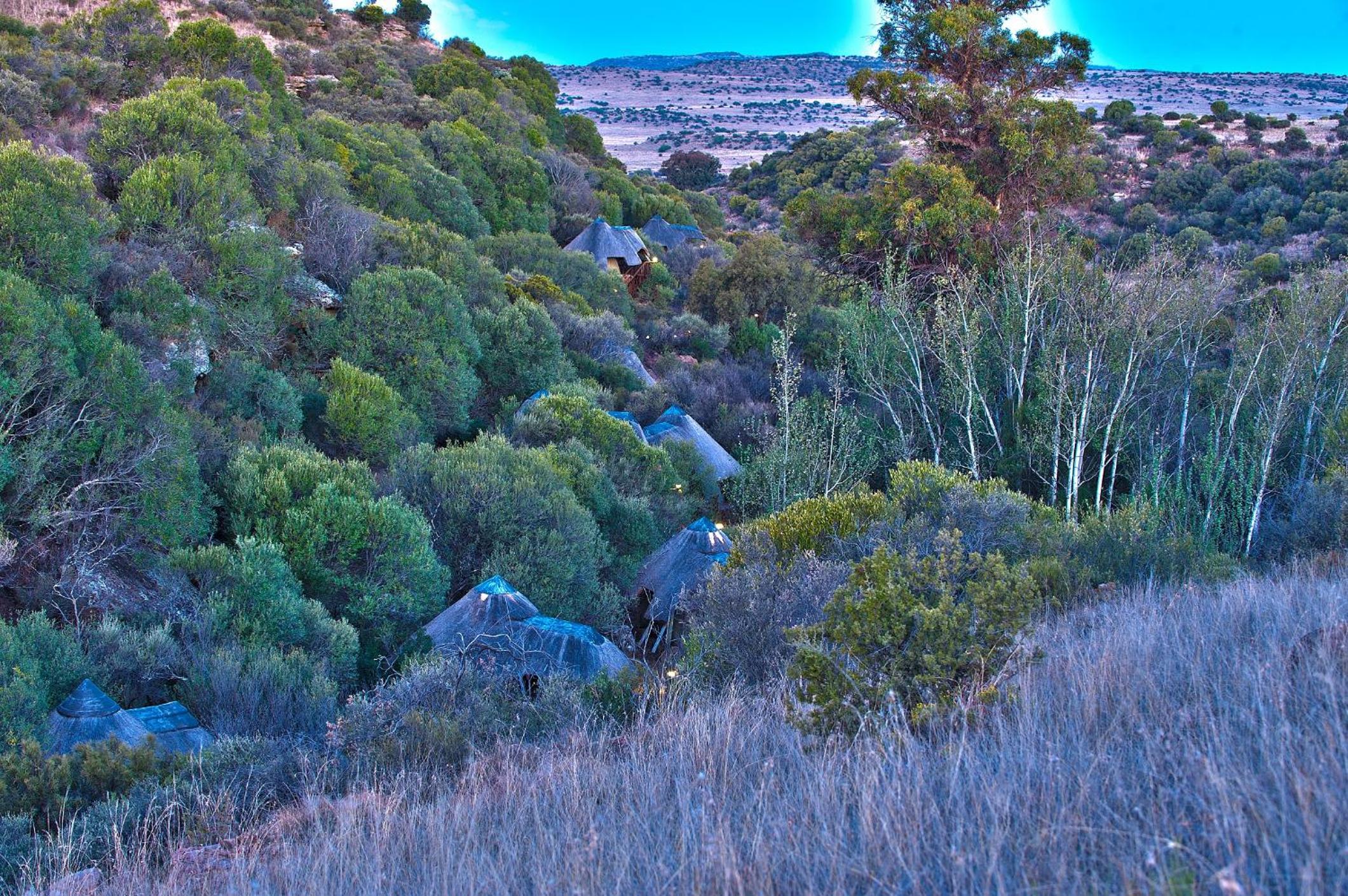 Tent photo 3