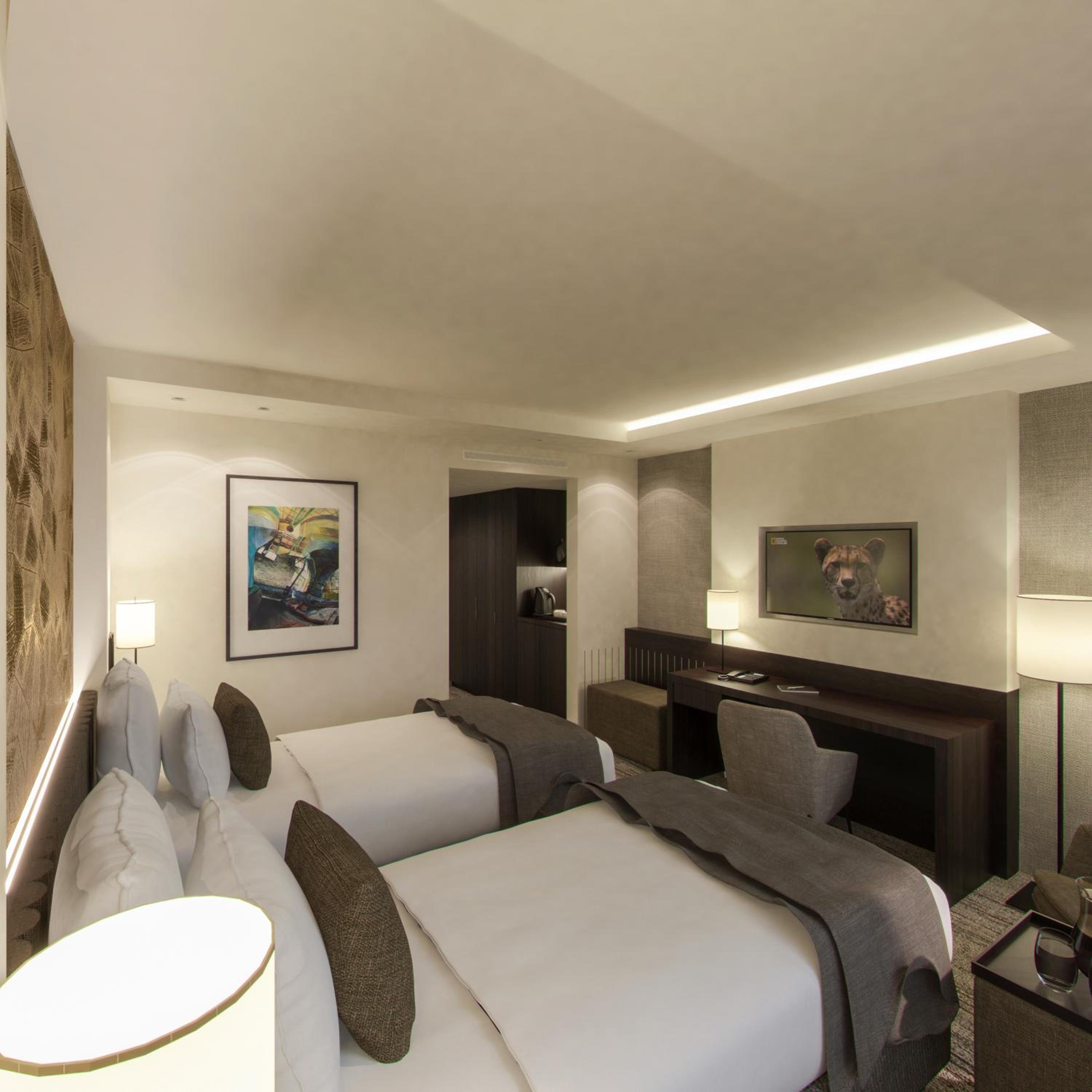 Deluxe Twin Room photo 3