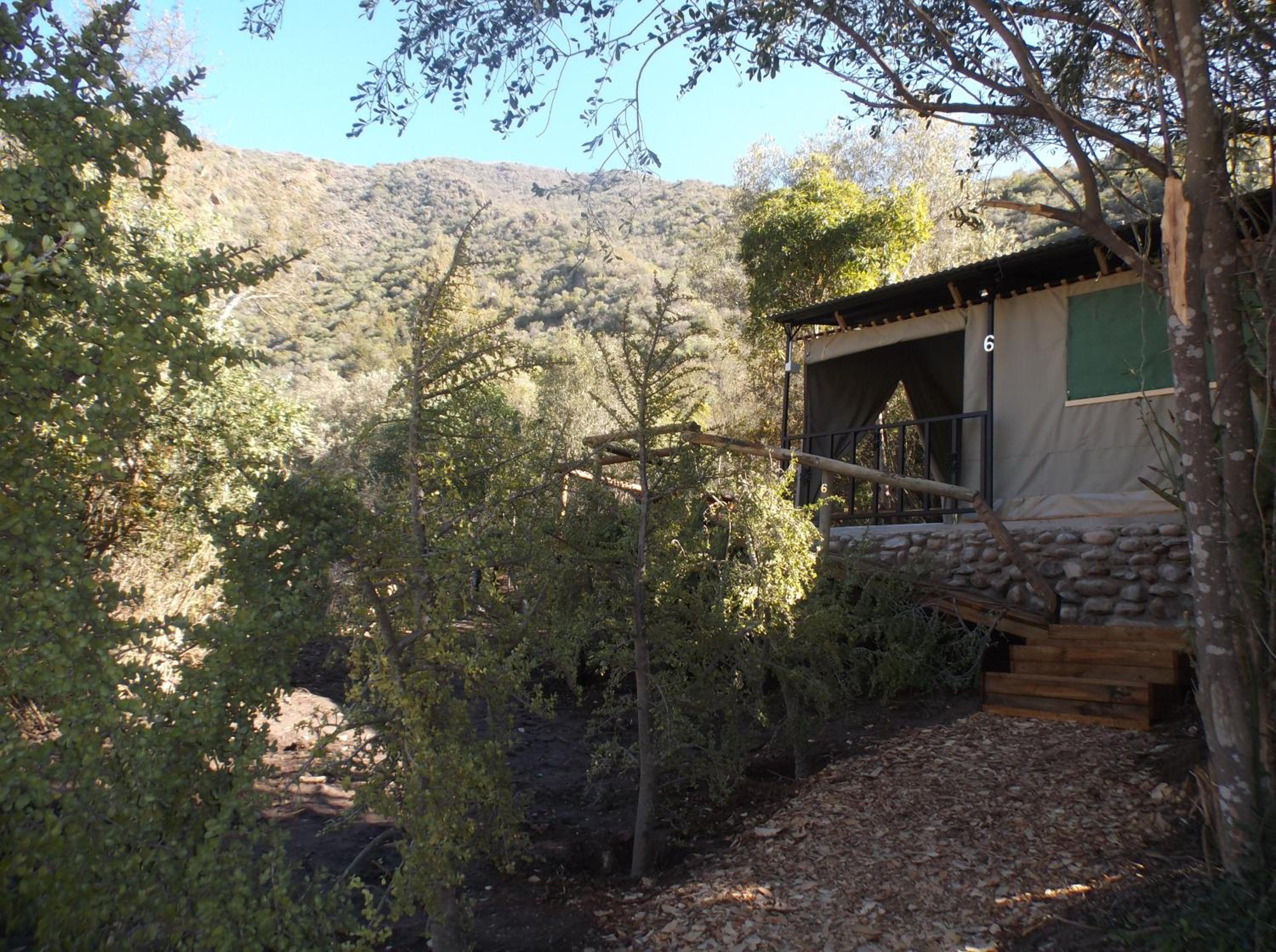 Luxury Tent 6/7 - Photo 4