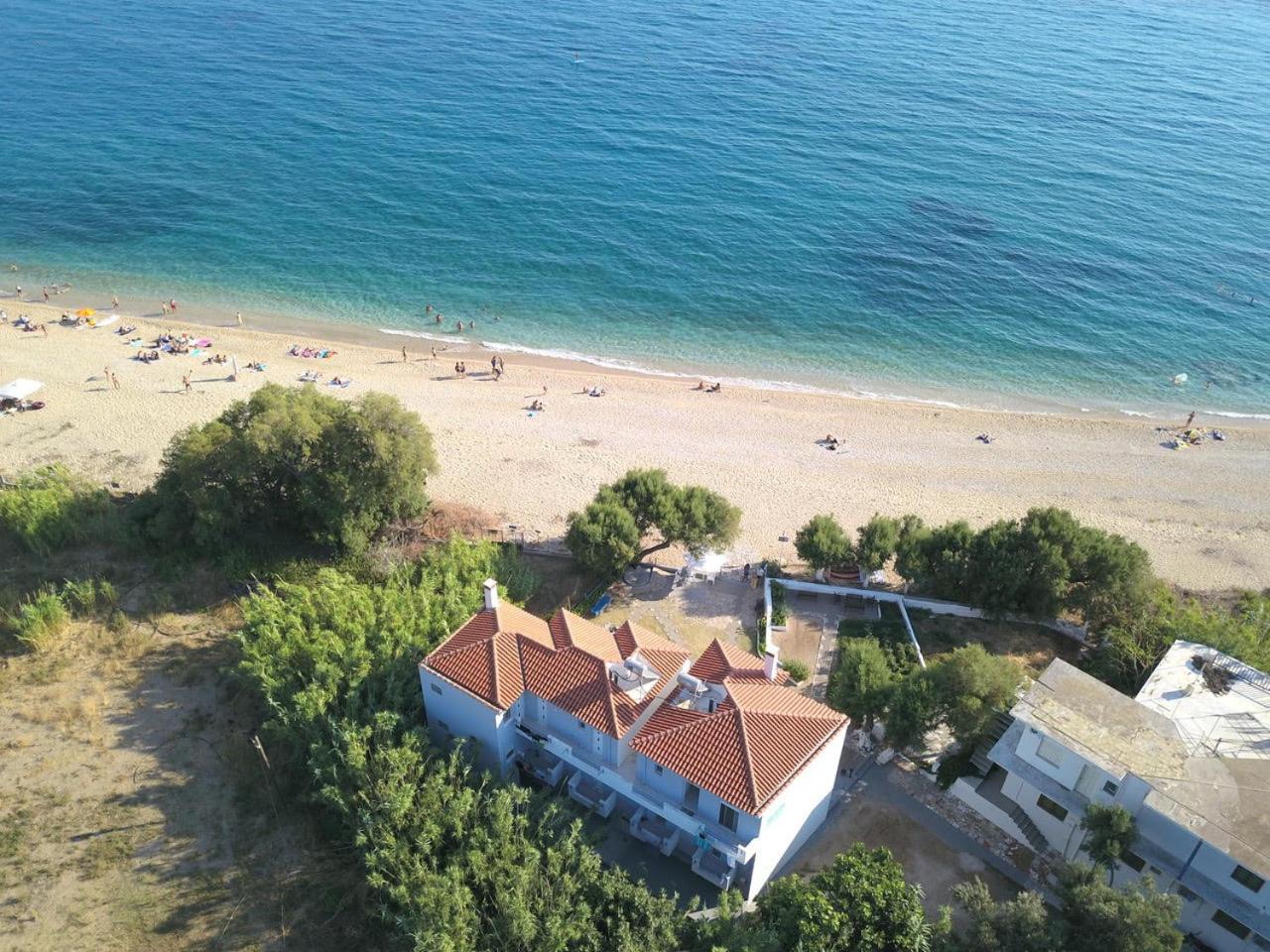 Studio with Sea View photo 3