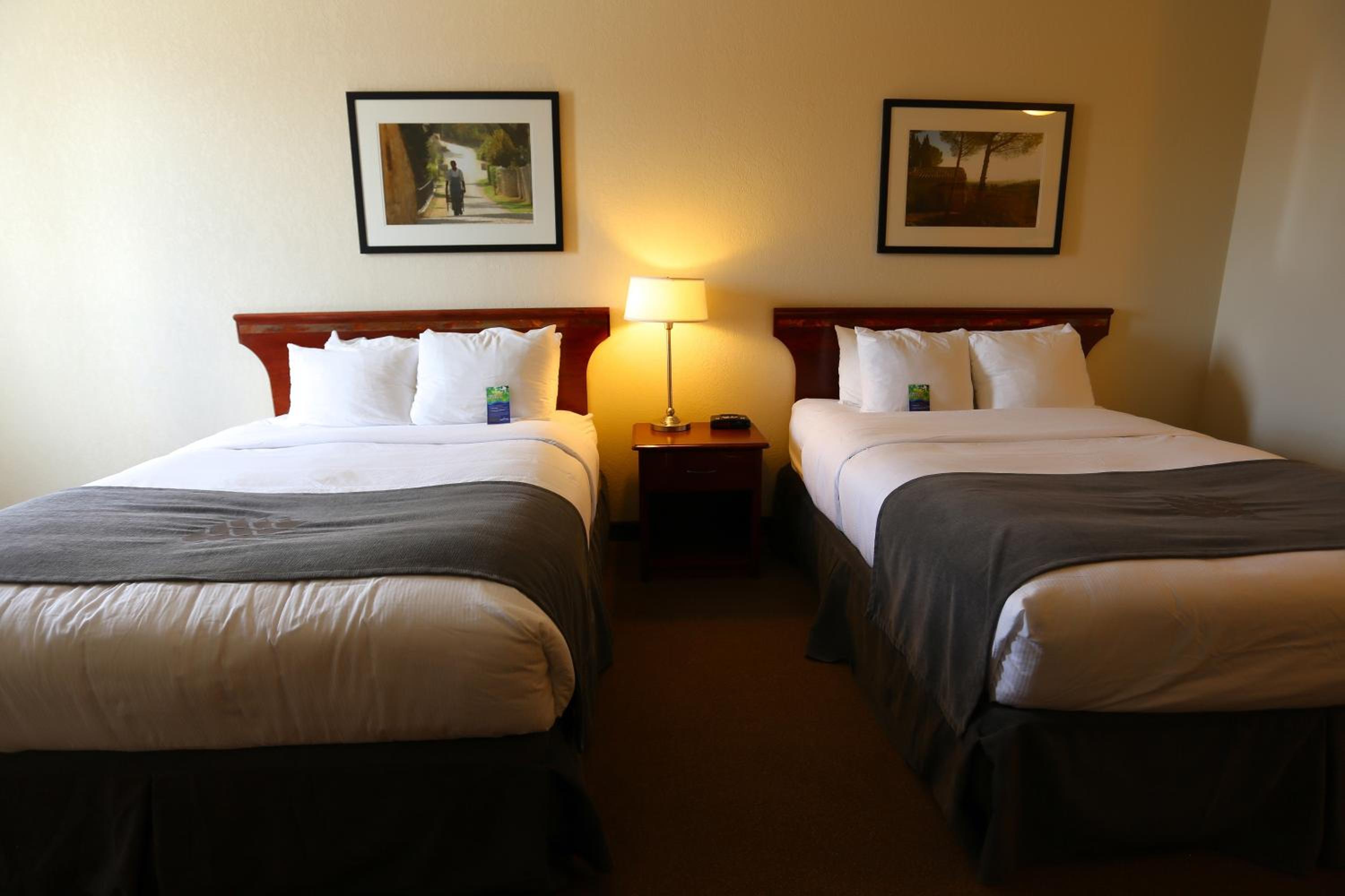 Queen Room with Two Queen Beds - Non-Smoking