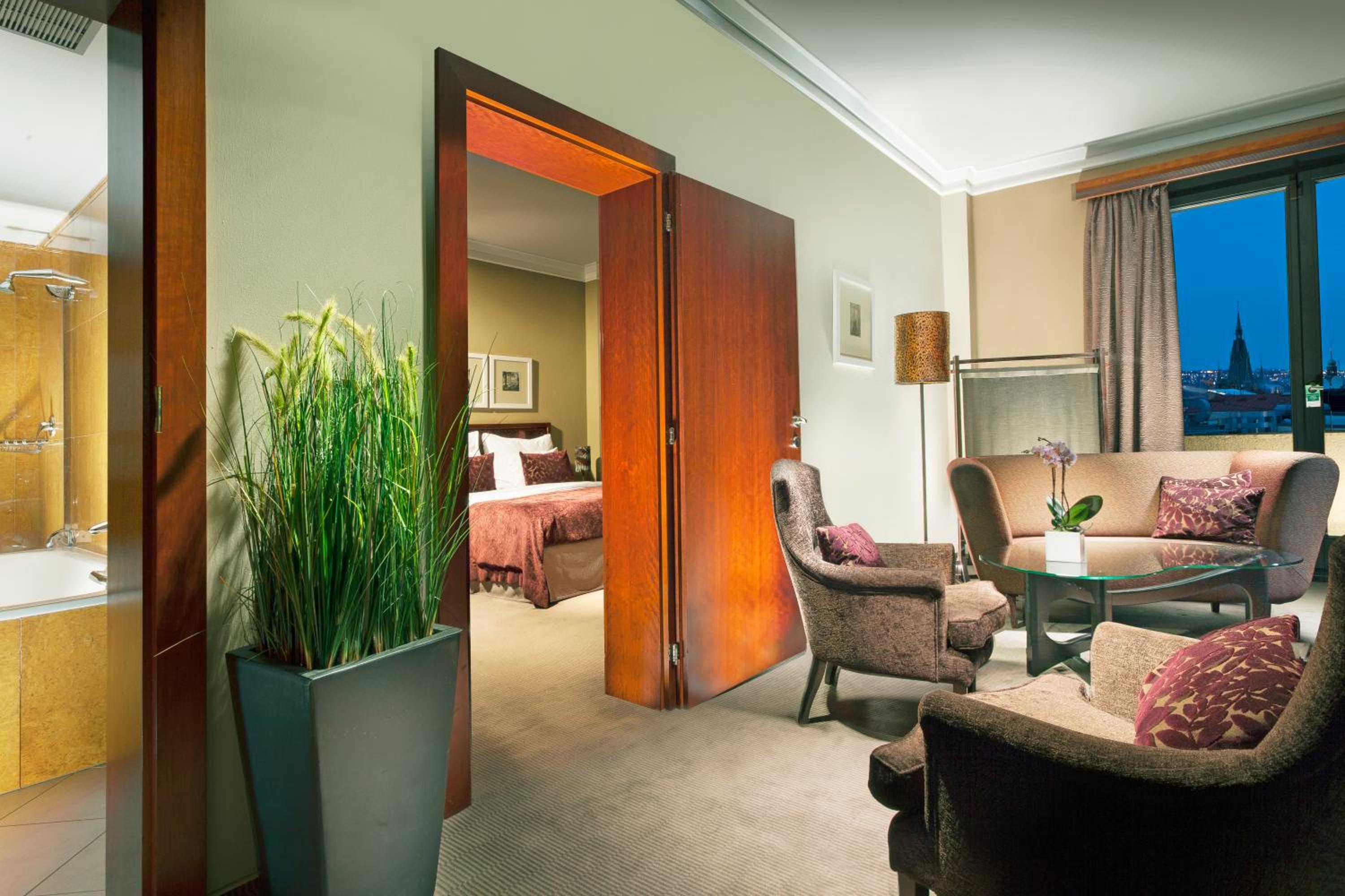 Suite - Photo 1