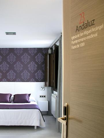 Double or Twin Room photo 2