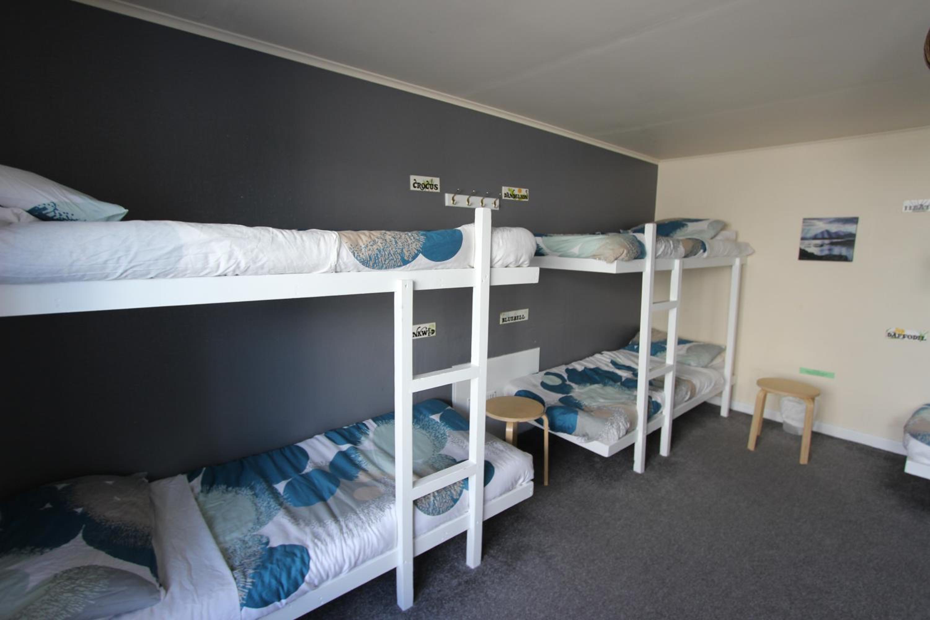 Bed in 8-Bed Mixed Dormitory Room photo 1