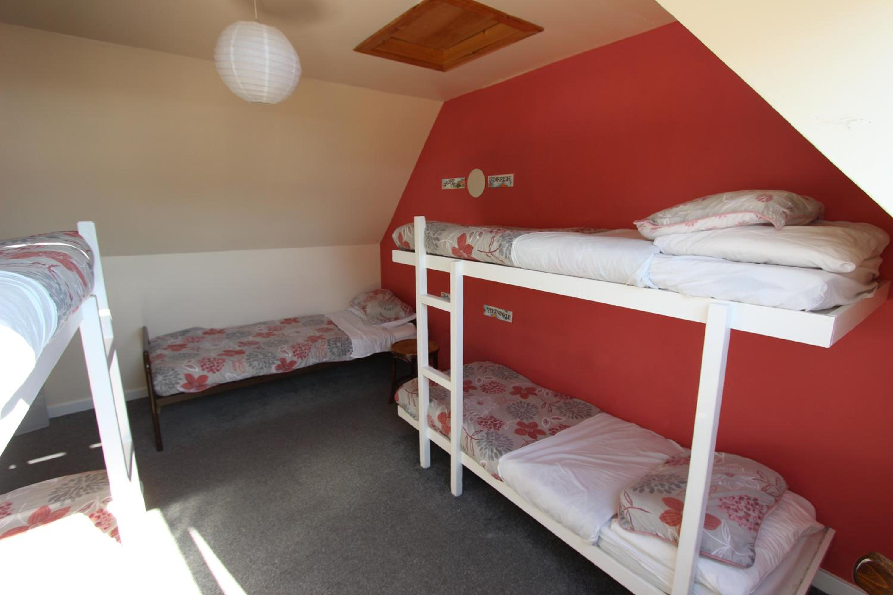 Bunk Bed in Mixed Dormitory Room photo 3