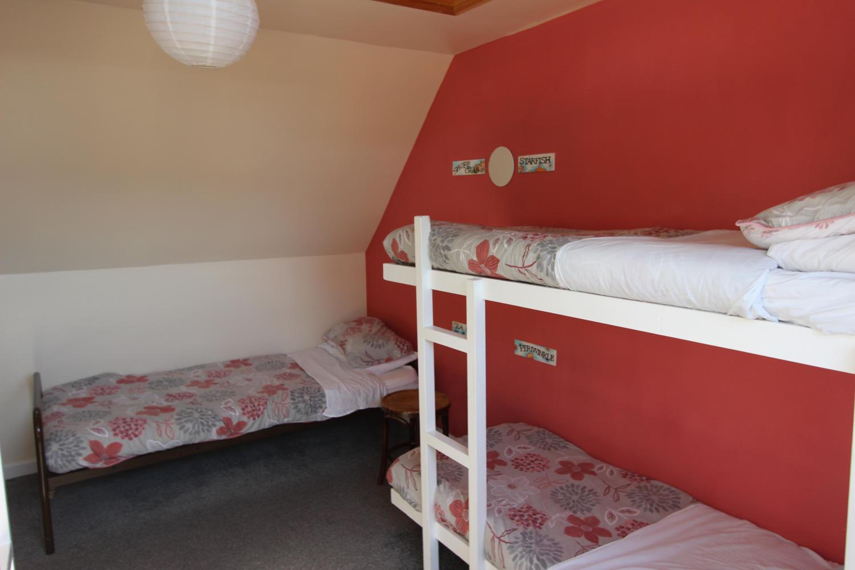 Bunk Bed in Mixed Dormitory Room photo 2