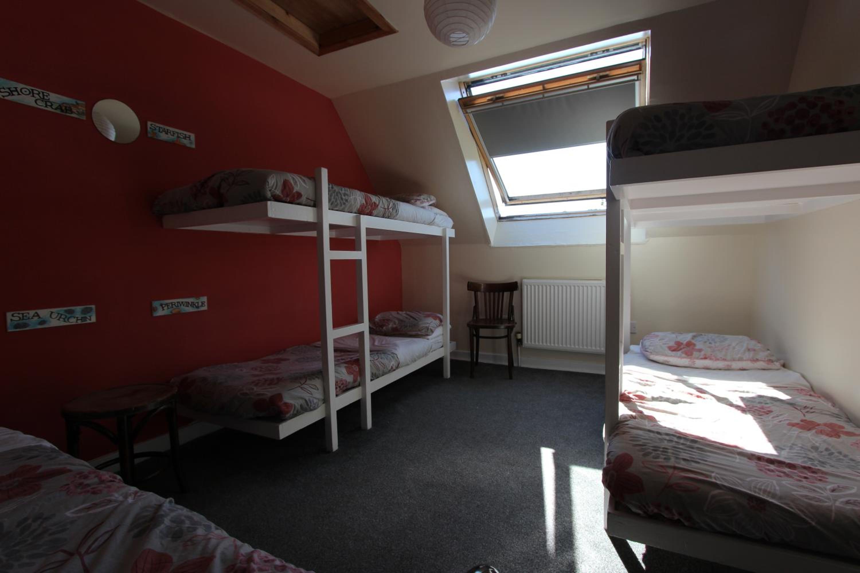 Bunk Bed in Mixed Dormitory Room photo 1