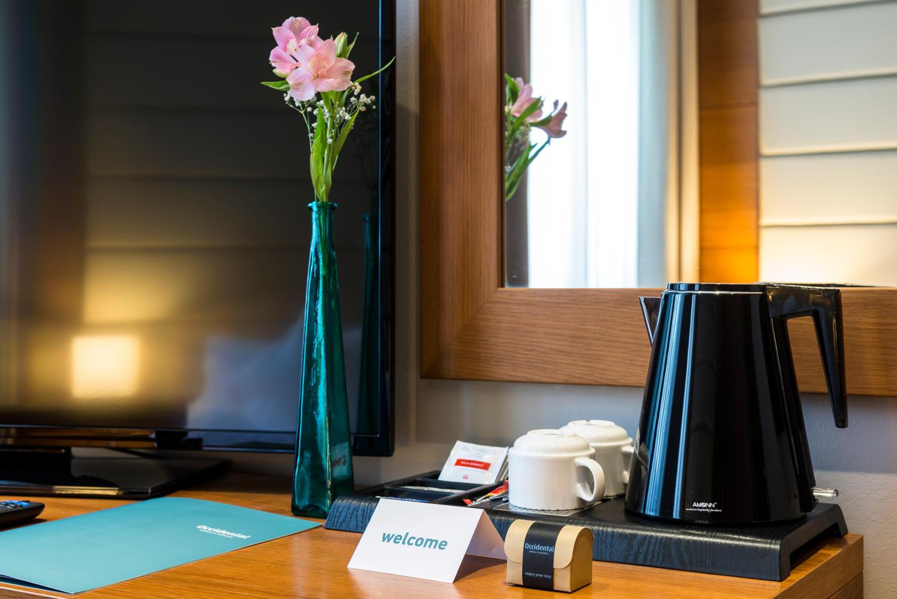 Executive Room (2 Adults + 1 Child)