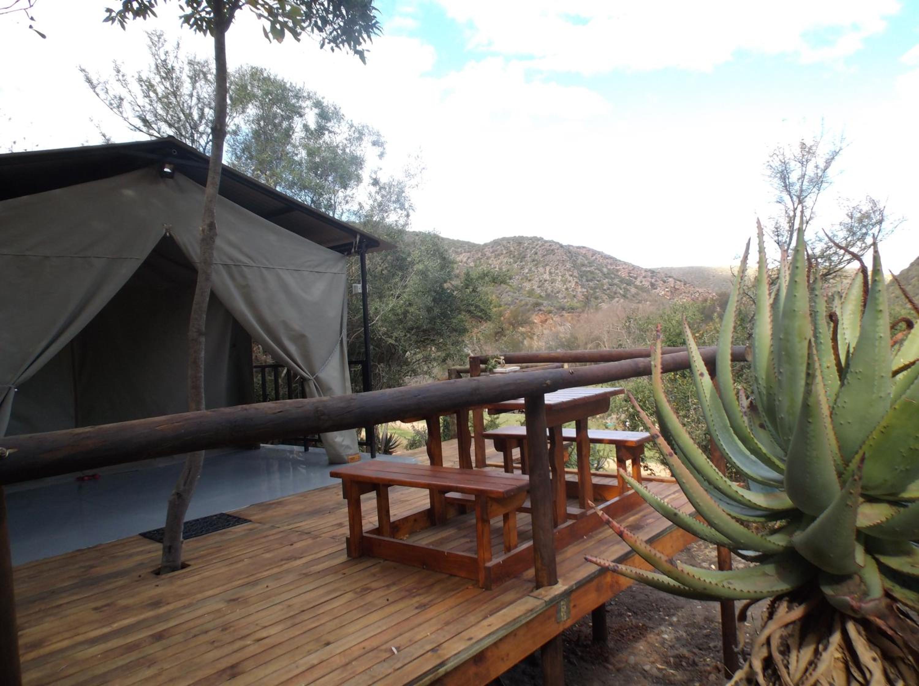 Luxury Waterfront Tent with Riverview - Photo 15