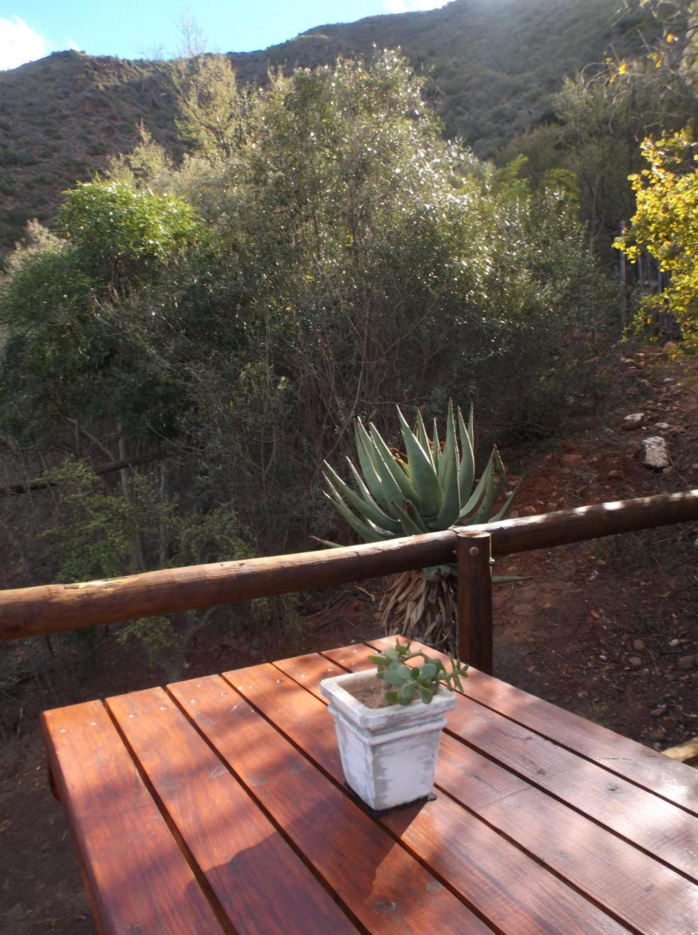 Luxury Tent 6/7 - Photo 5