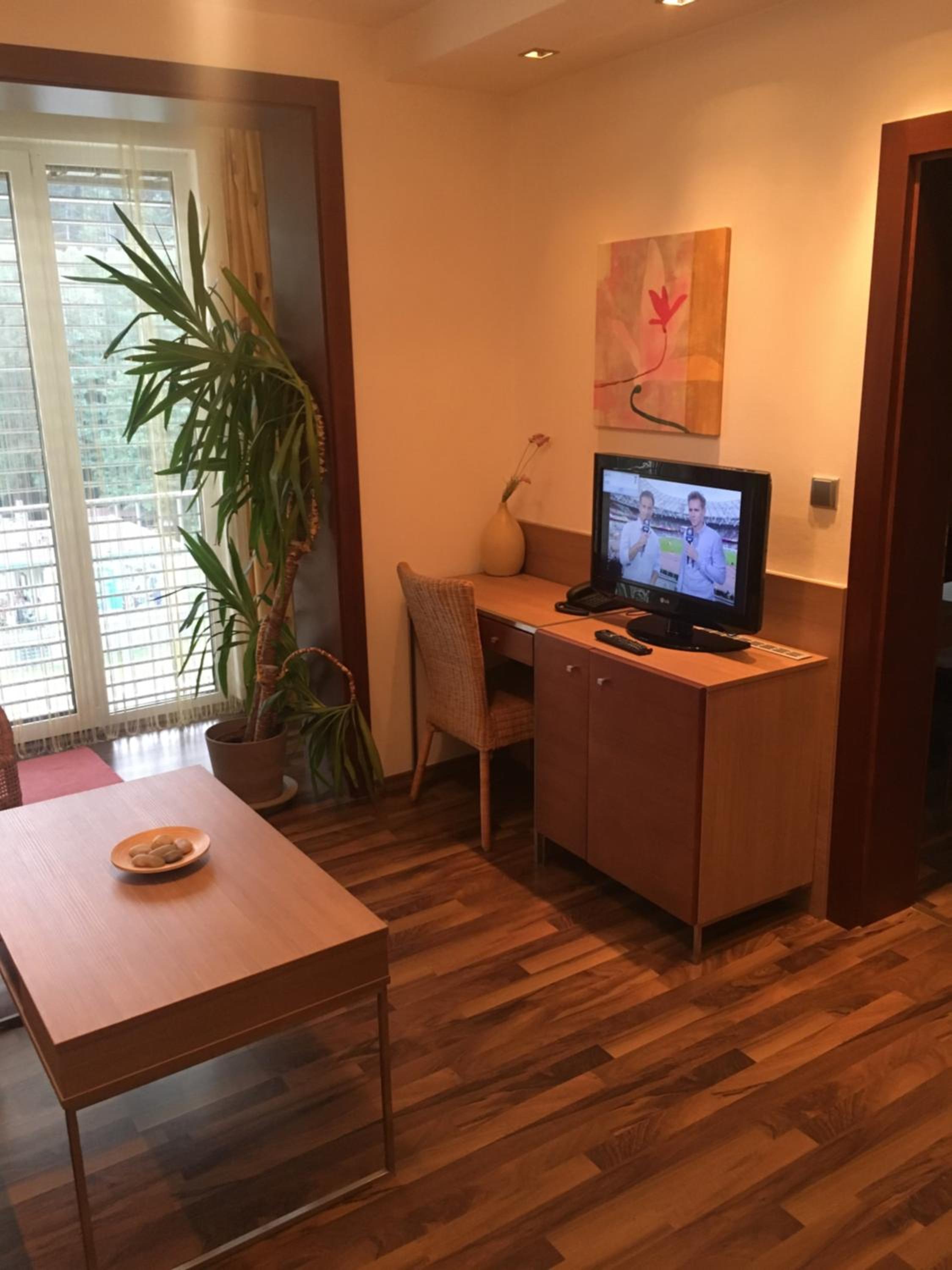 Apartment with Mountain View photo 3