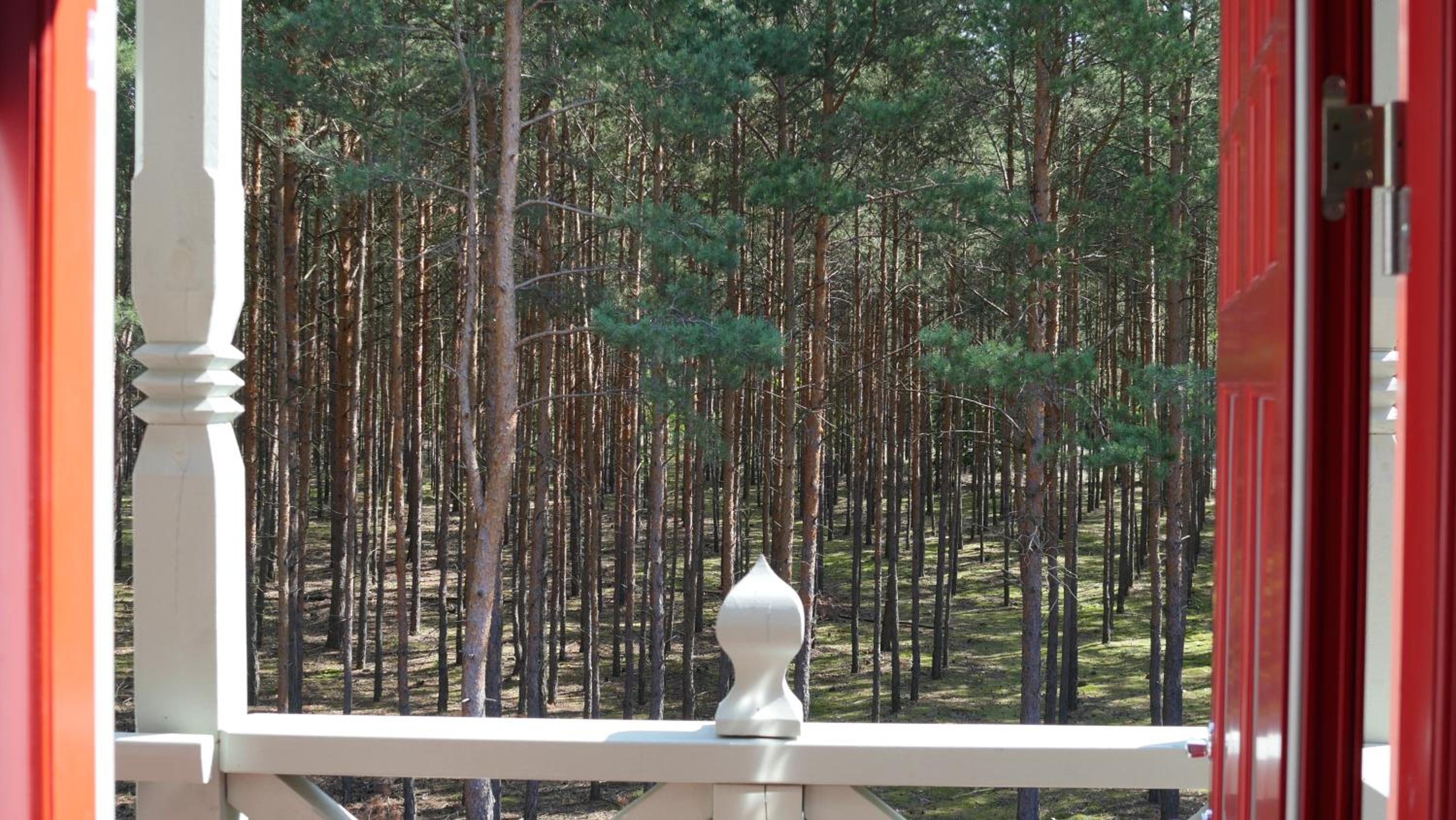 Apartment with Balcony - Photo 8