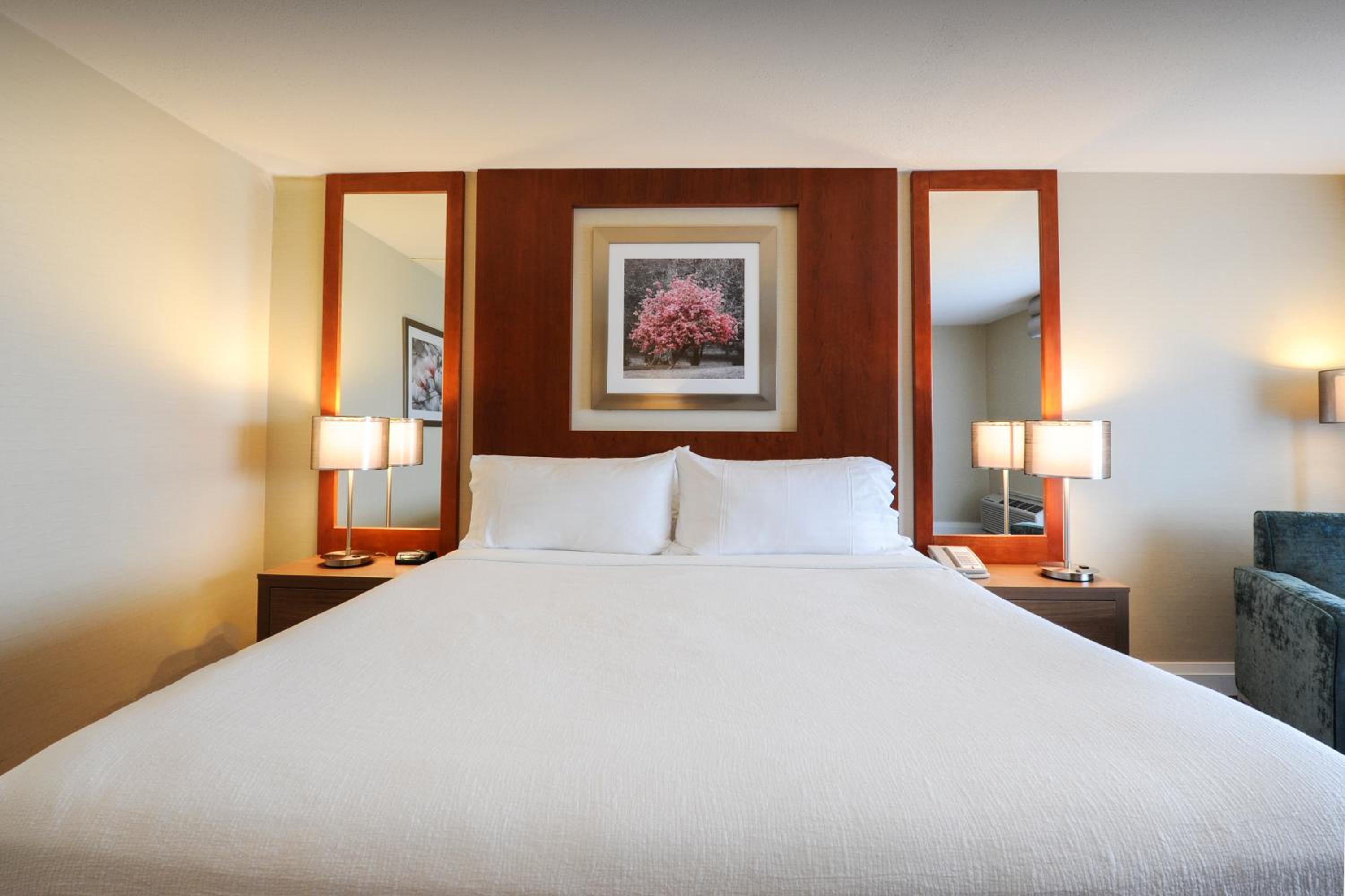 Double Room - Mobility Access with Roll-in Shower