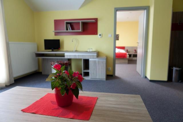 Suite - Photo 2
