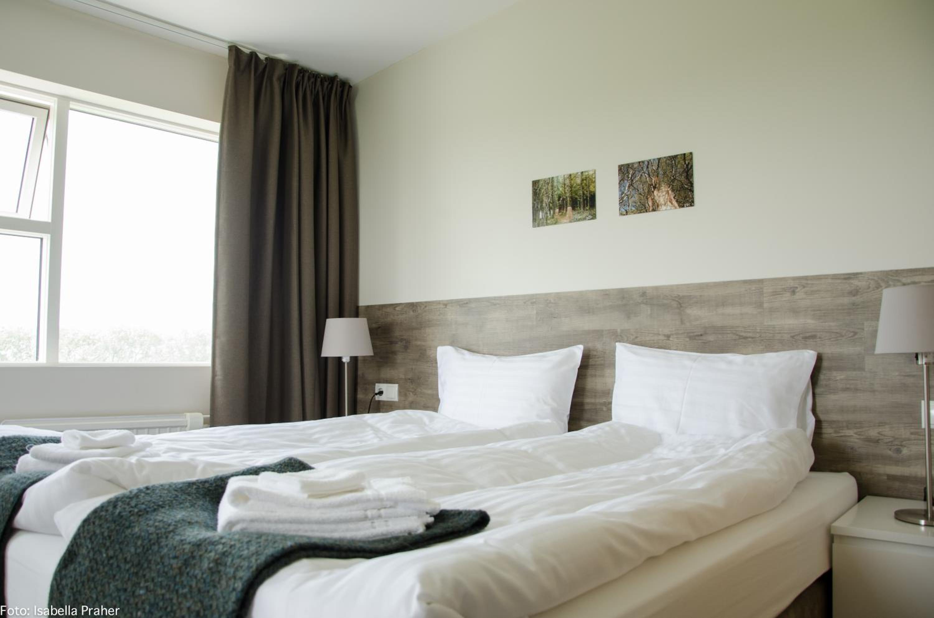Superior Twin Room photo 3