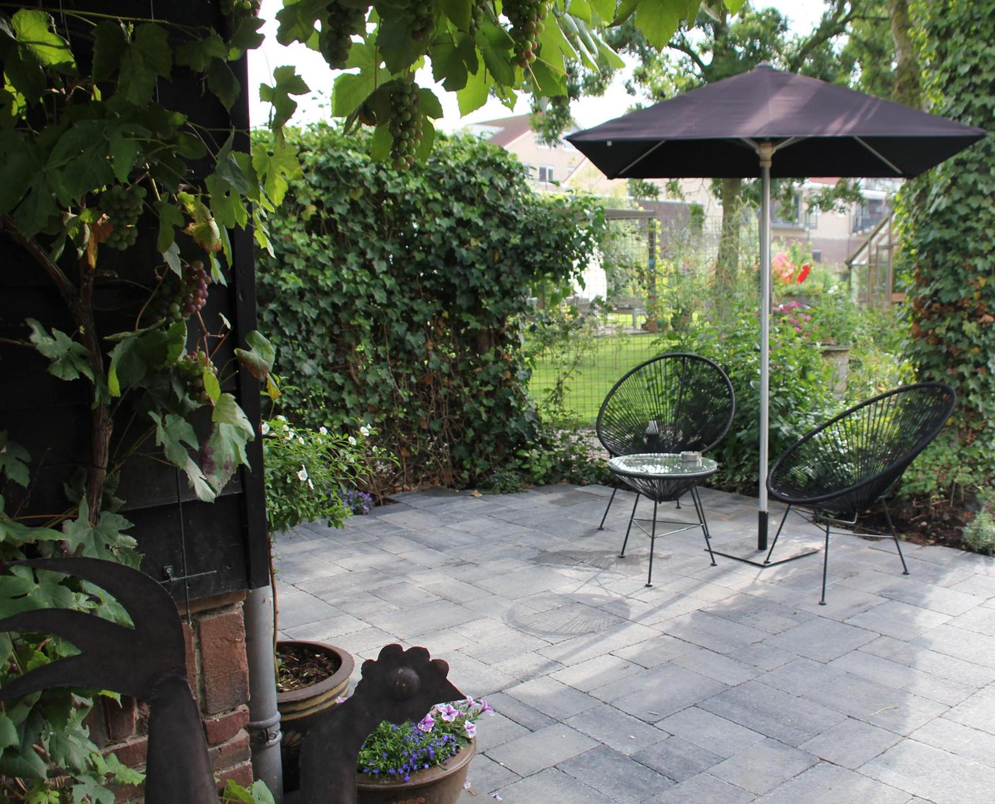 Apartment - Ground Floor - Photo 4