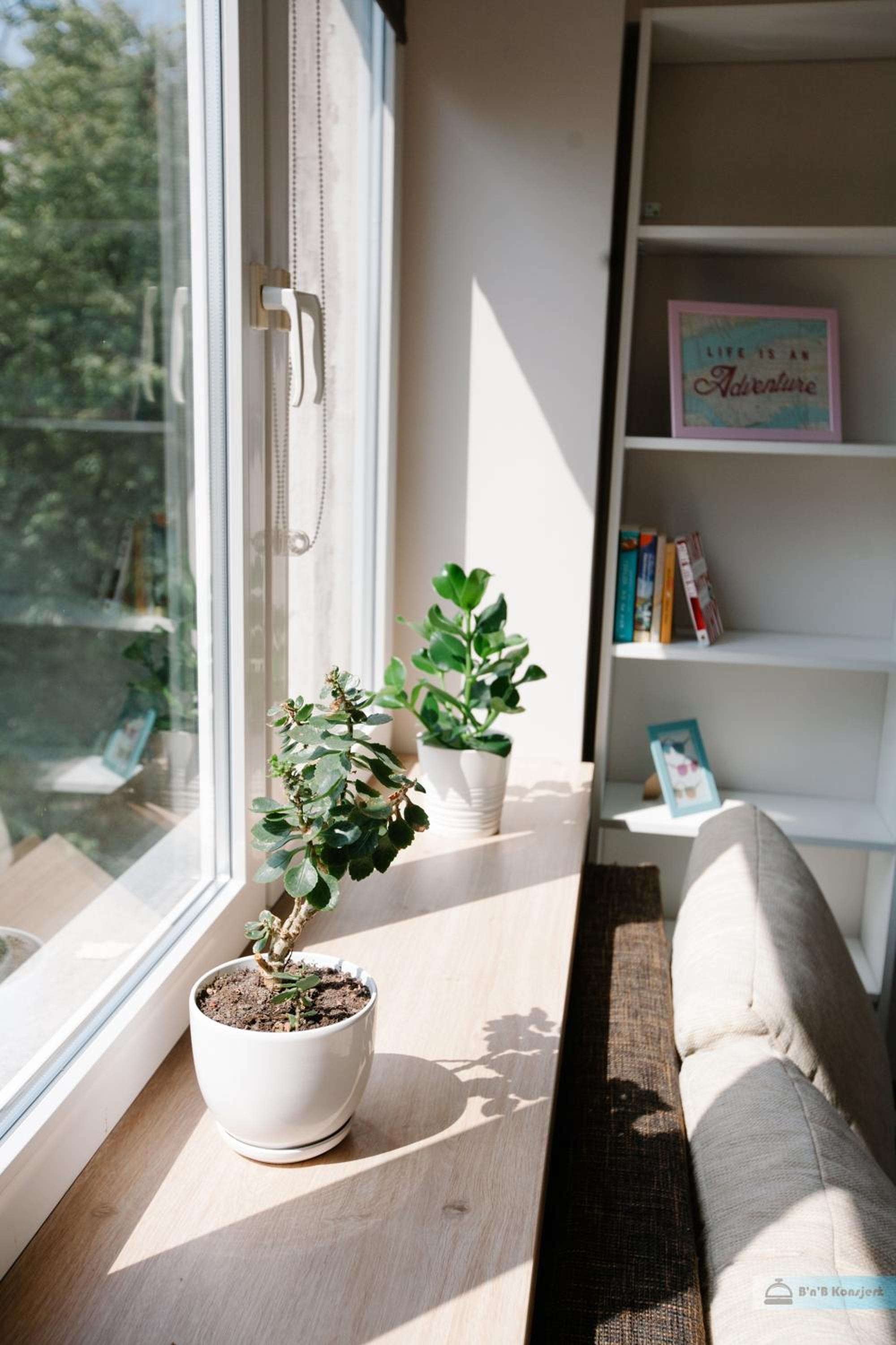 Apartment with Balcony - Photo 3