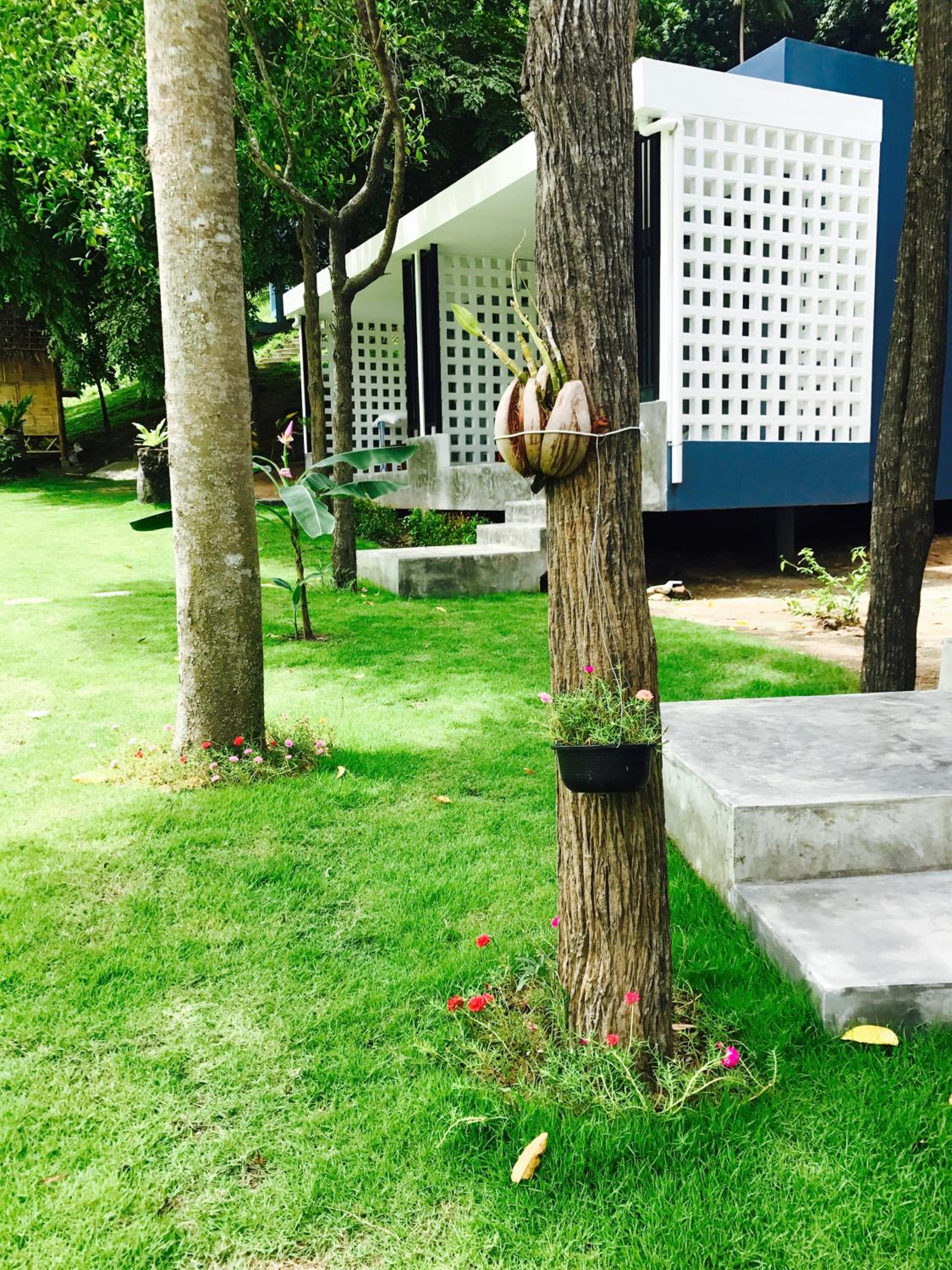 Double Room with Garden View photo 3