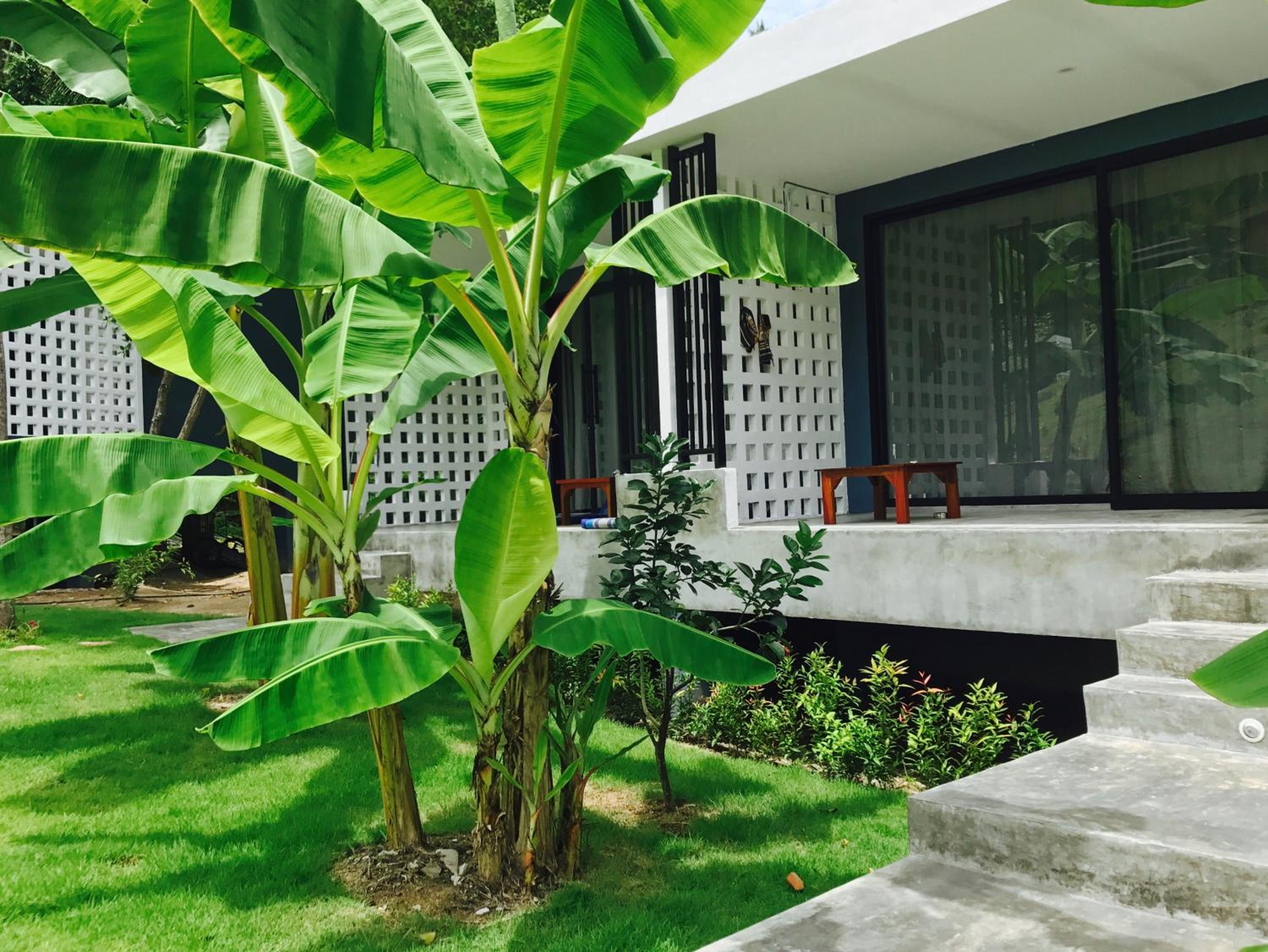 Double Room with Garden View photo 2