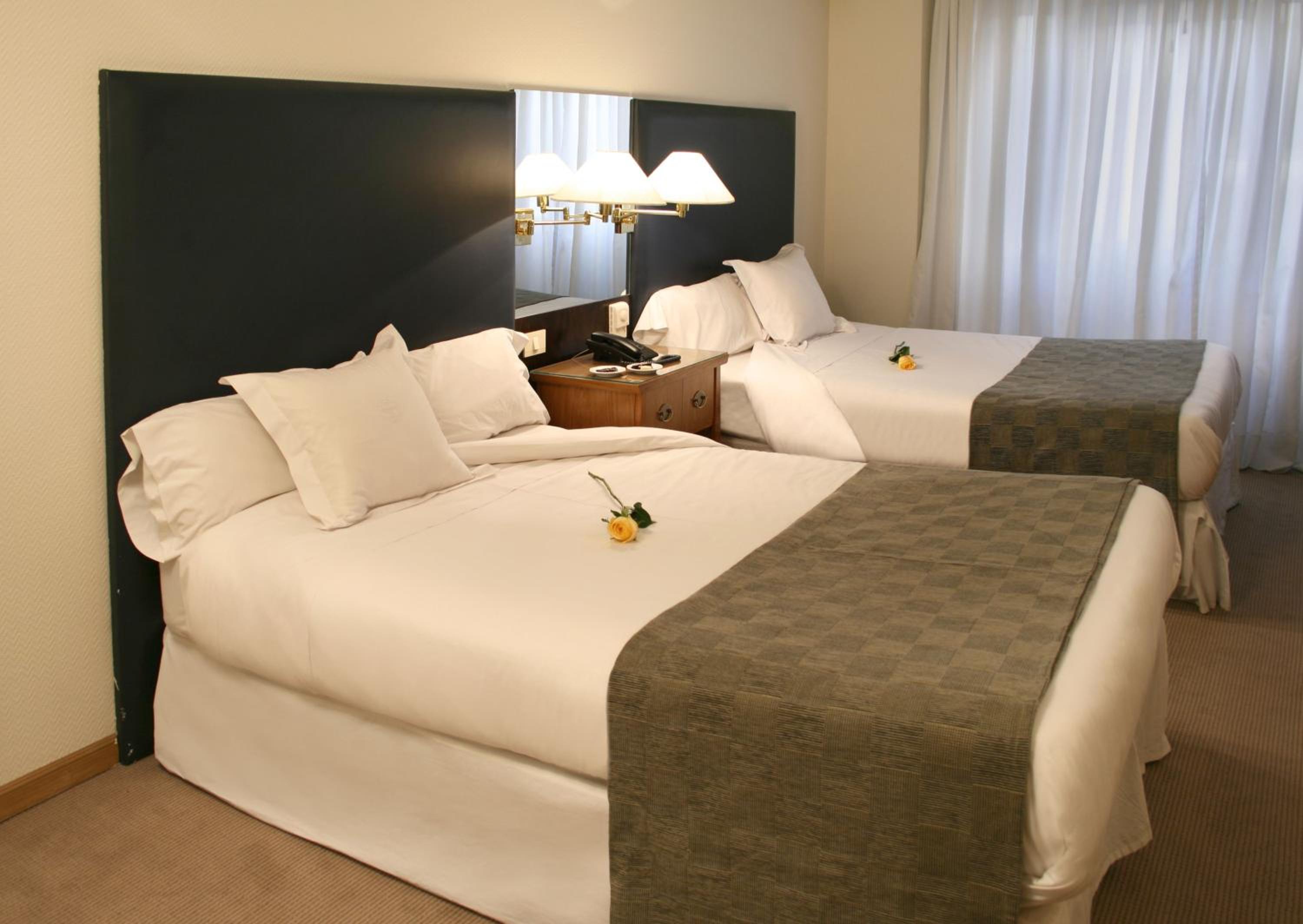Standard Queen Room