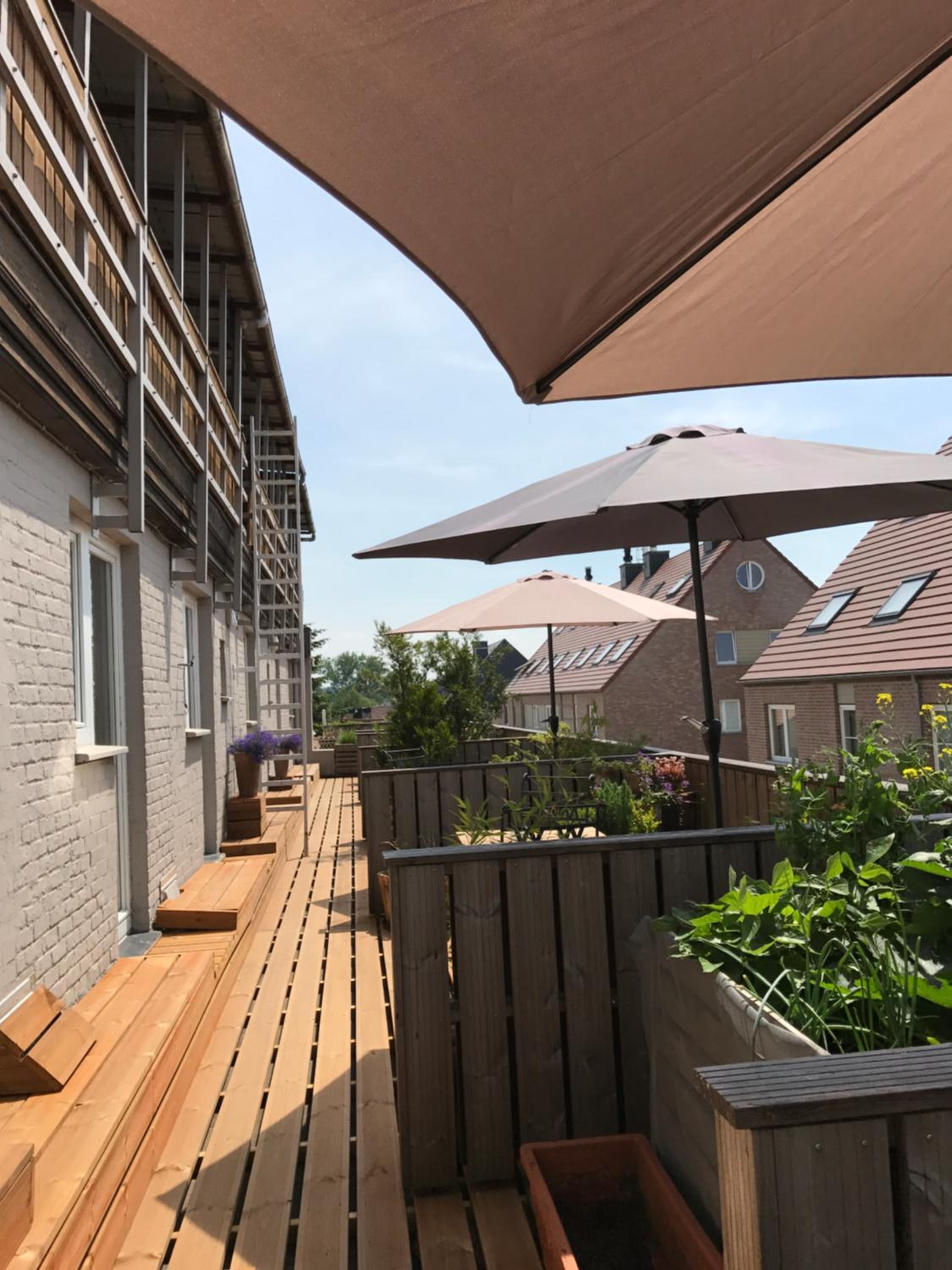 Twin Room with Terrace