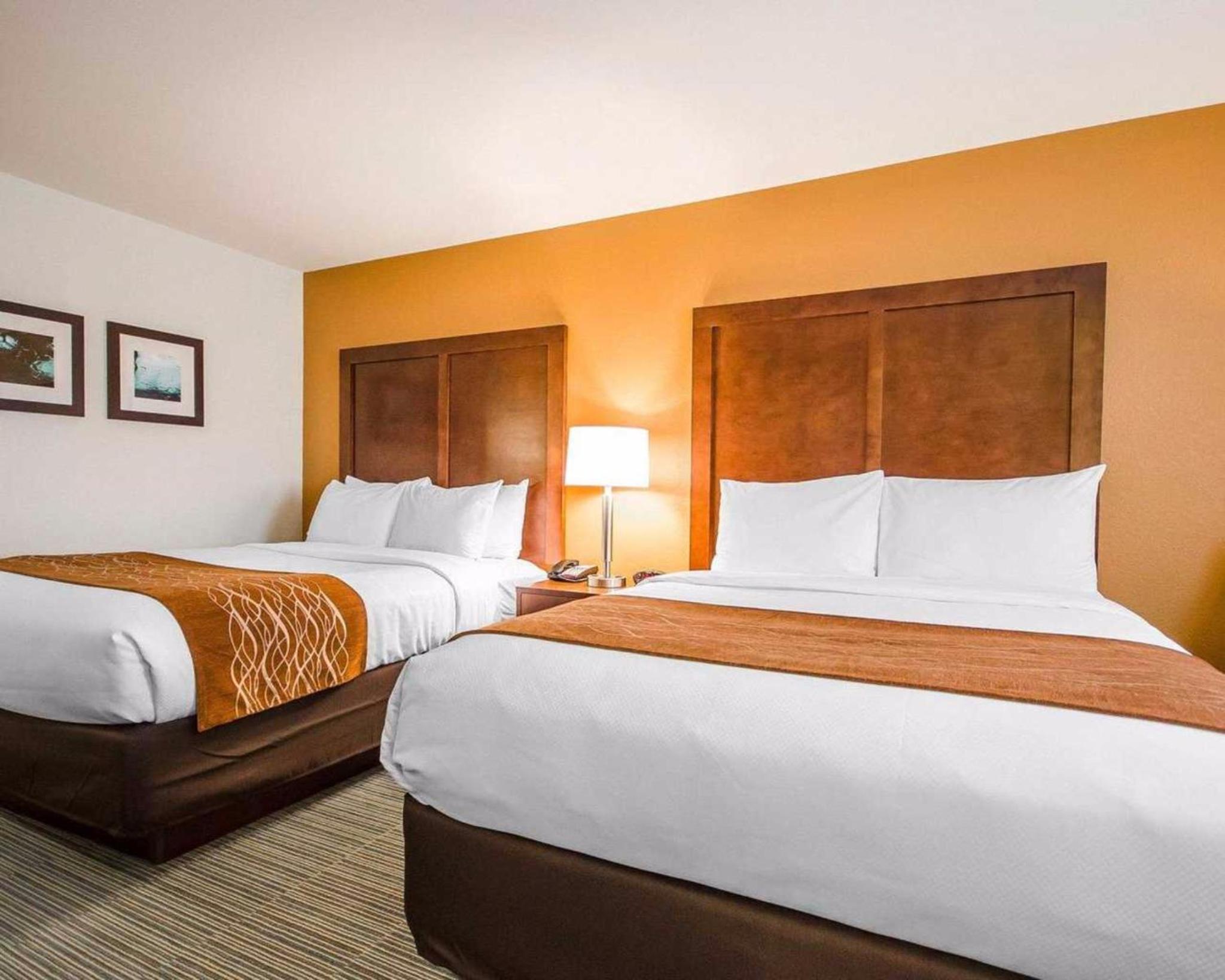 Queen Room with Two Queen Beds - Non-Smoking photo 1