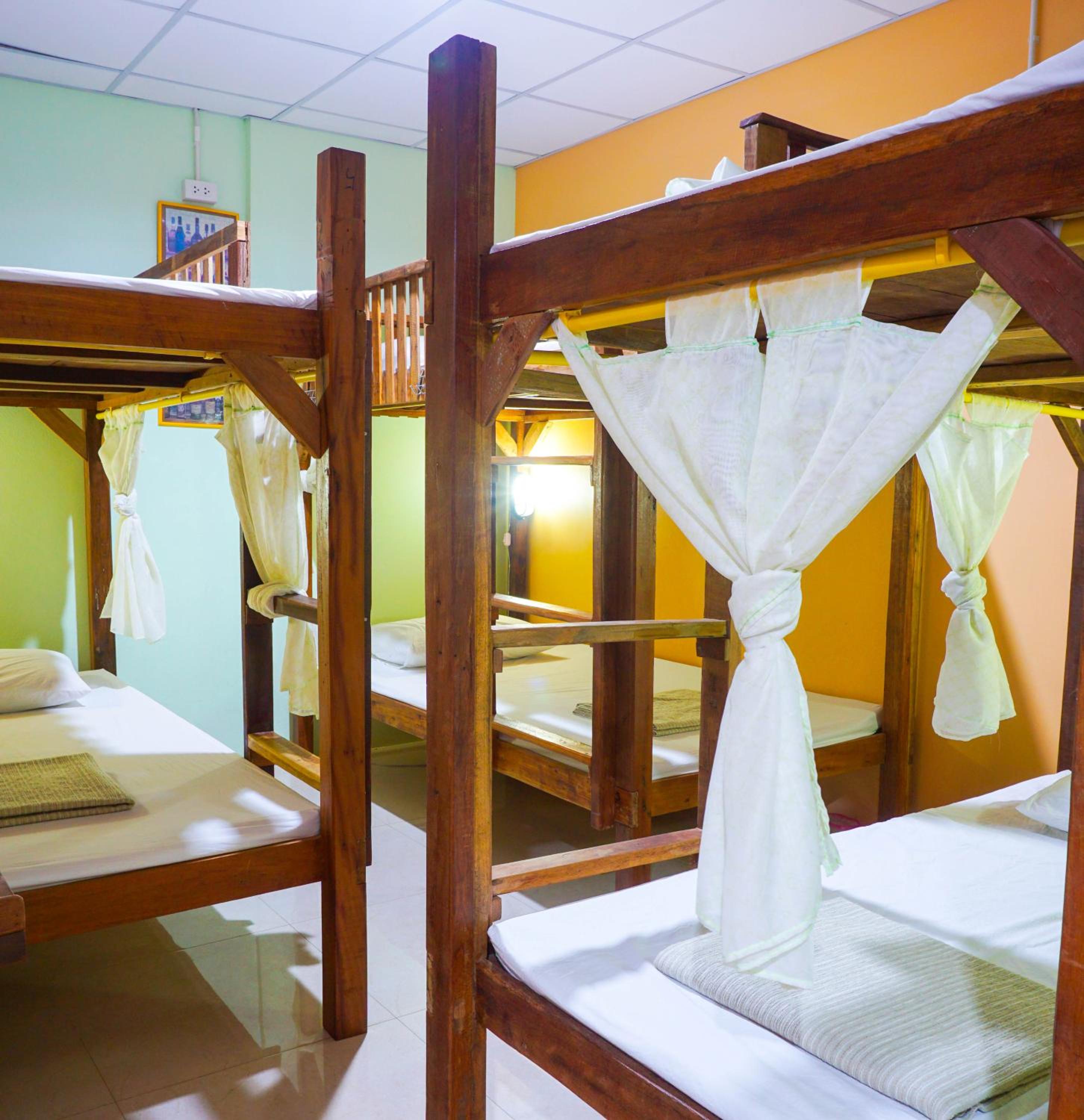 Bunk Bed in Mixed Dormitory Room with Shared Bathroom photo 1