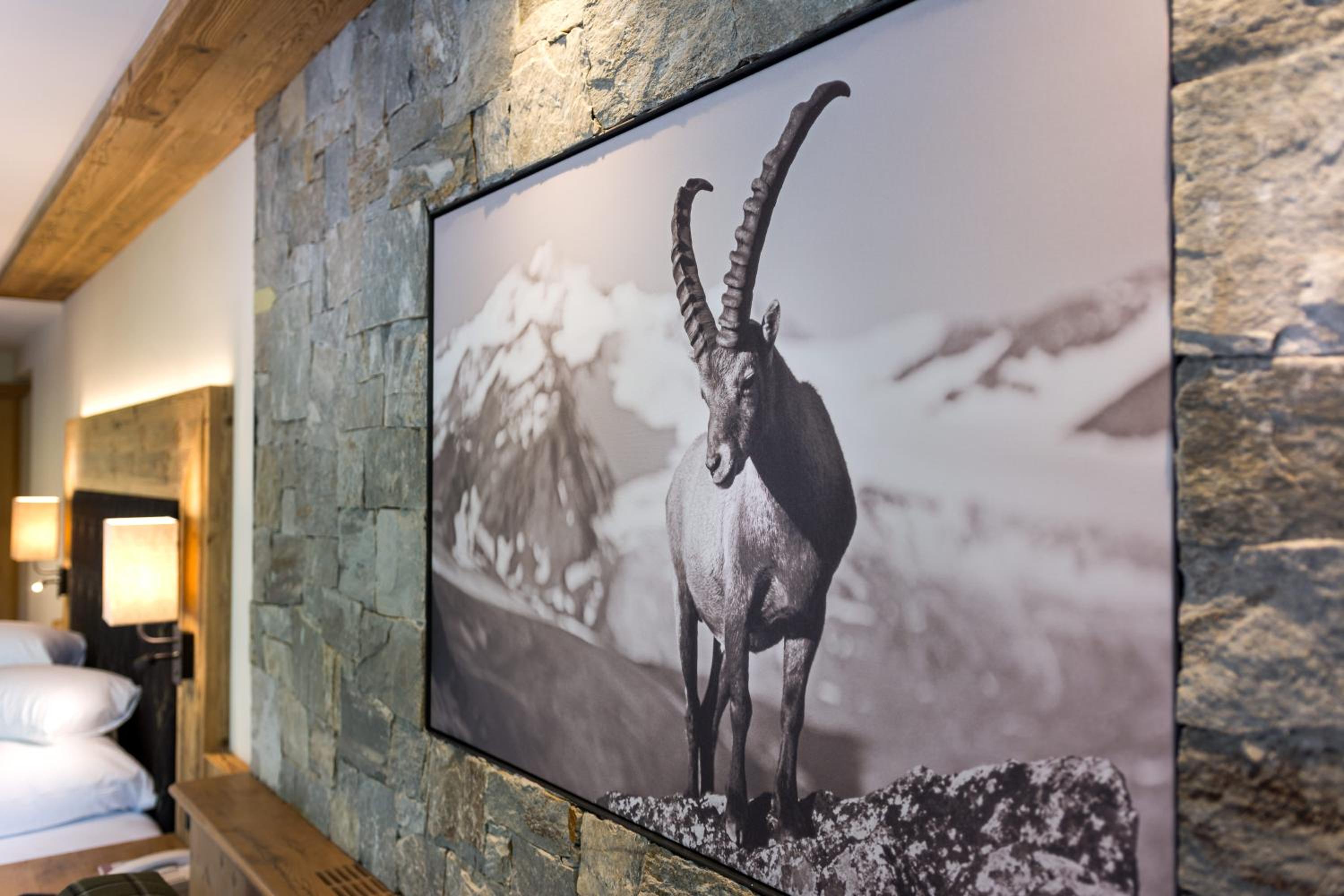 Suite Alpine photo 2