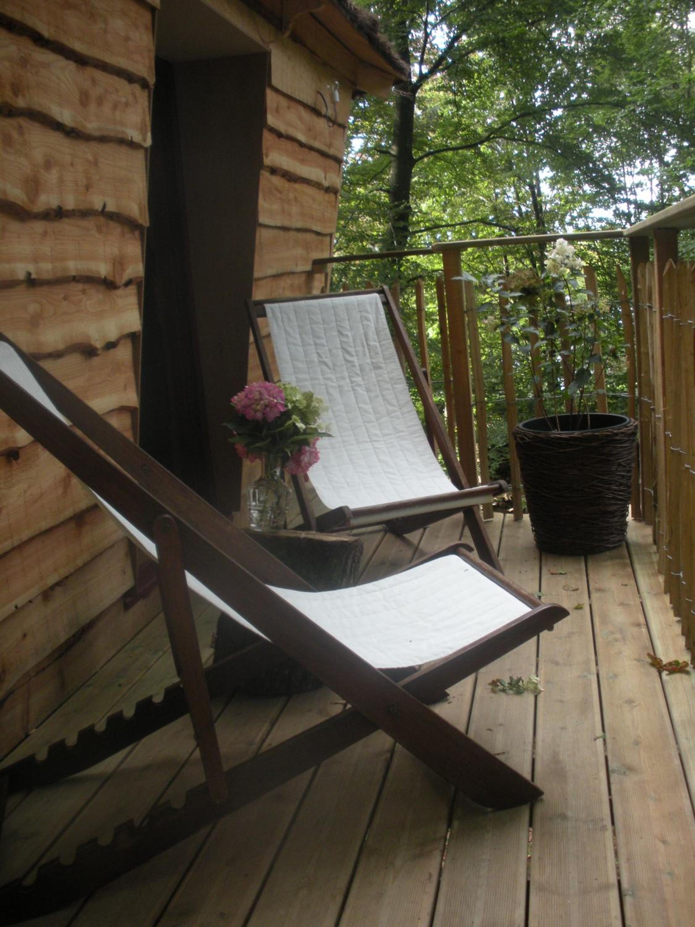 Tree House photo 1