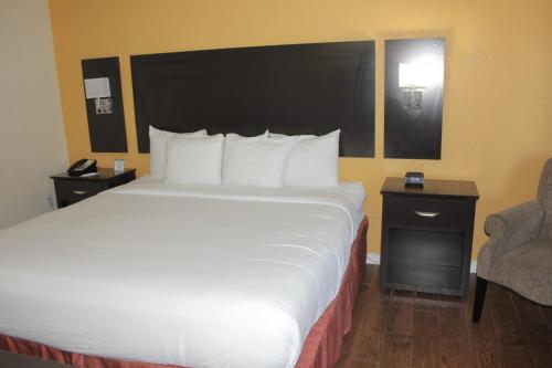 Twin Room - Disability Access photo 1