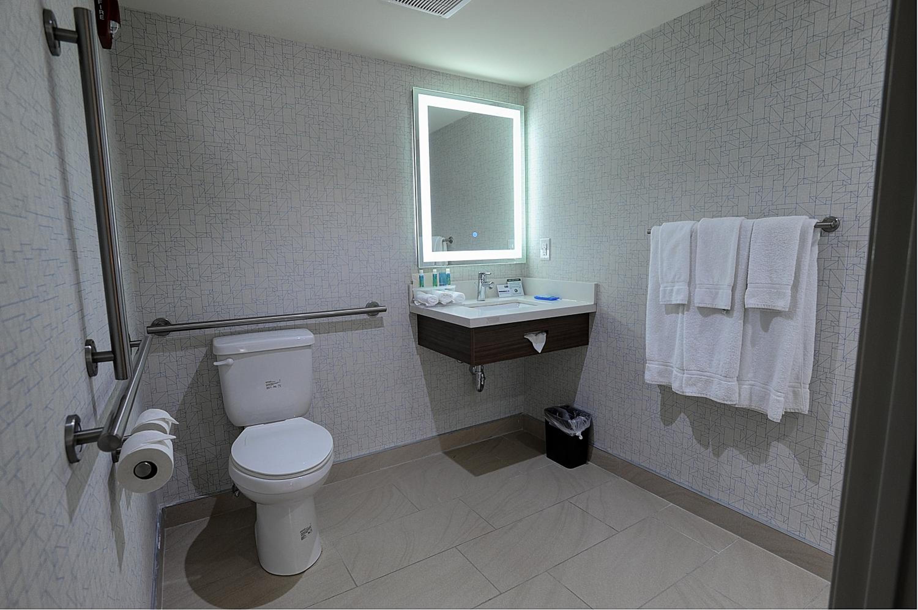 Suite - Mobility Access Roll in Shower/Non-Smoking photo 2
